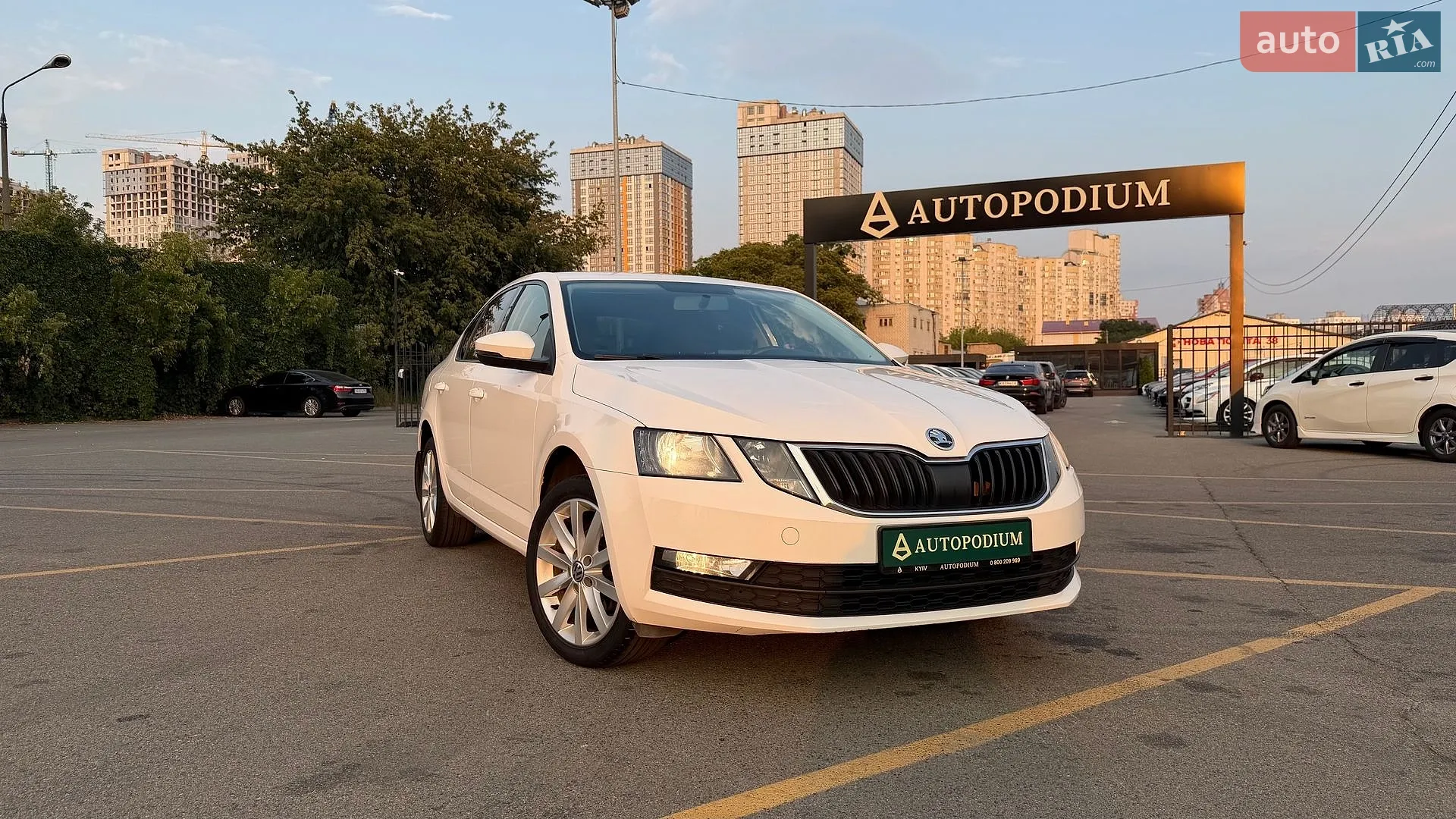 2019 Skoda Octavia - мініатюра 12