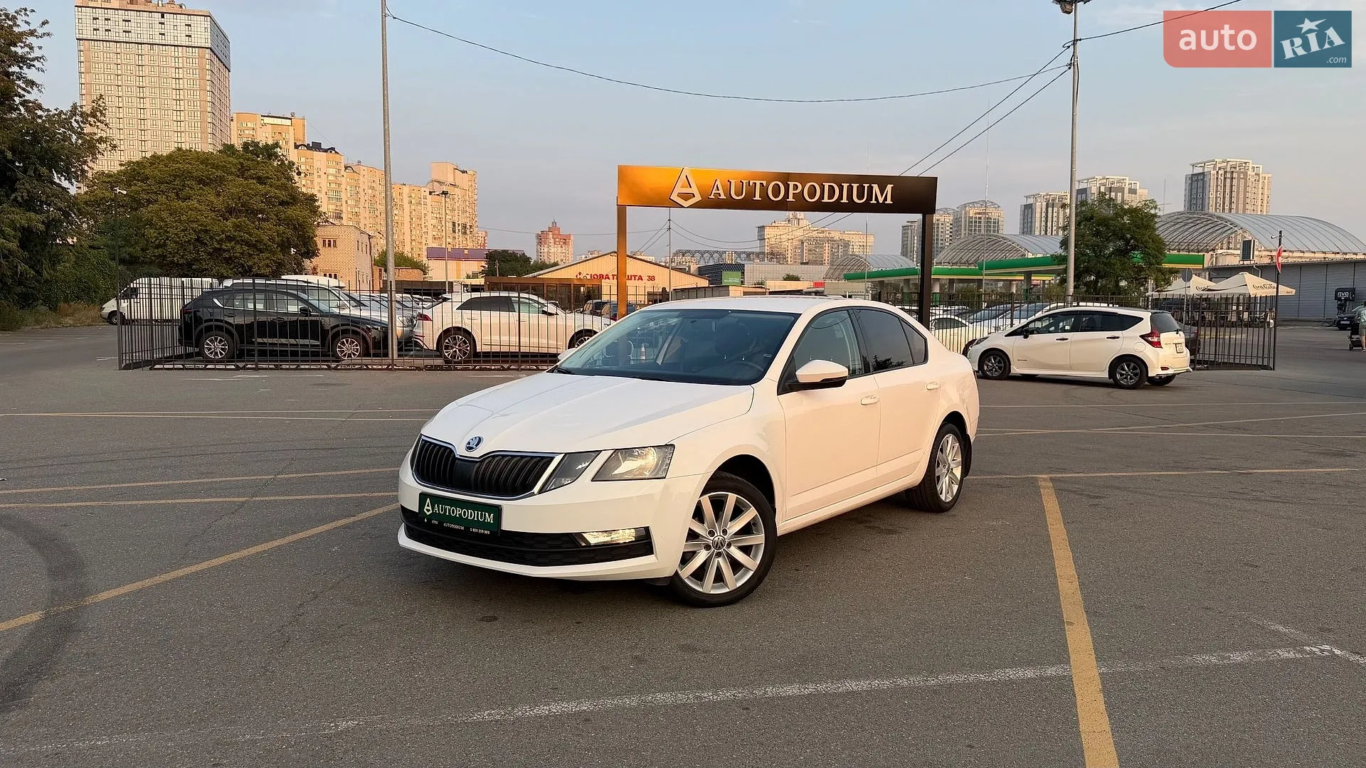 2019 Skoda Octavia - мініатюра 13