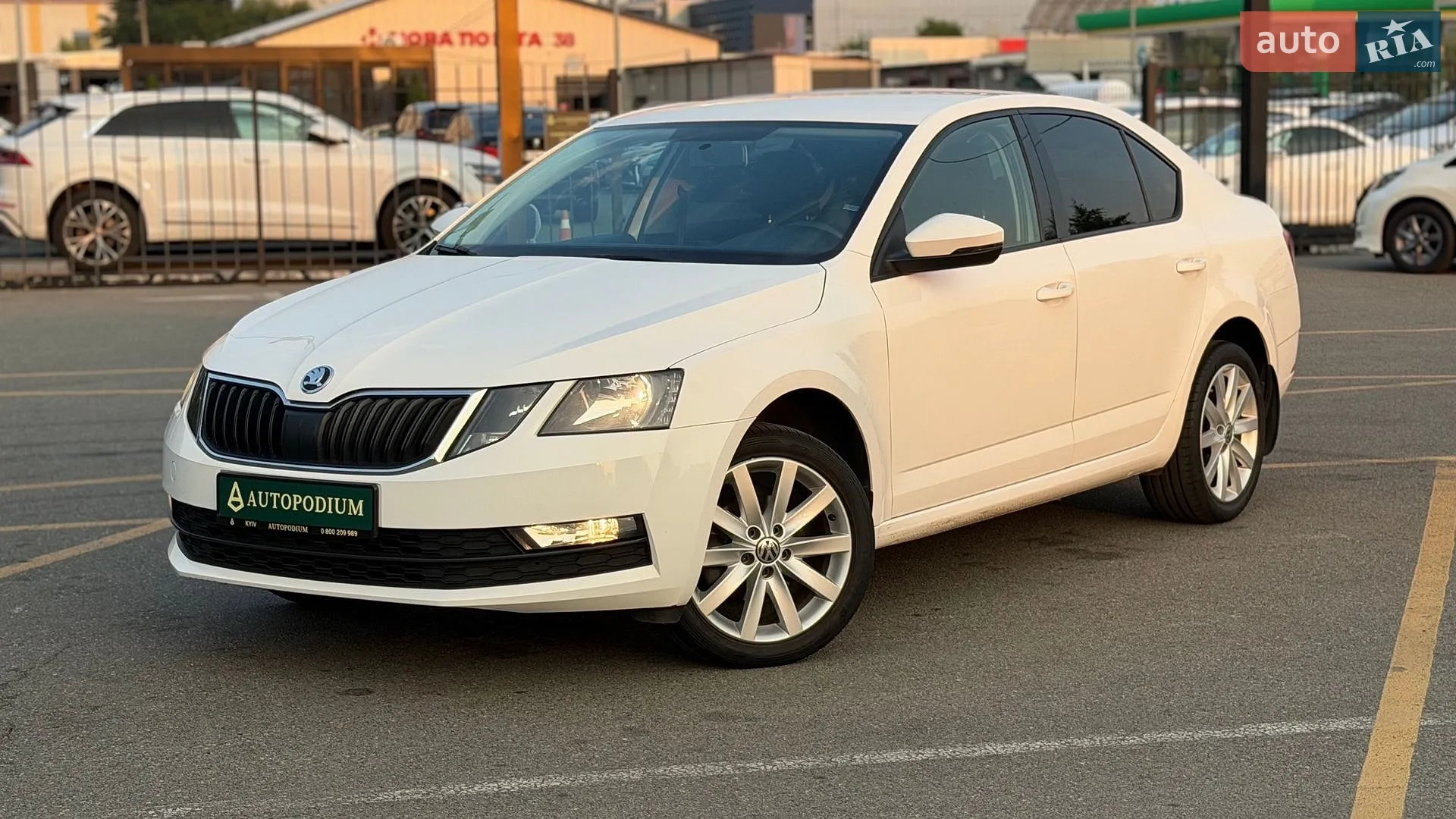 2019 Skoda Octavia - мініатюра 14