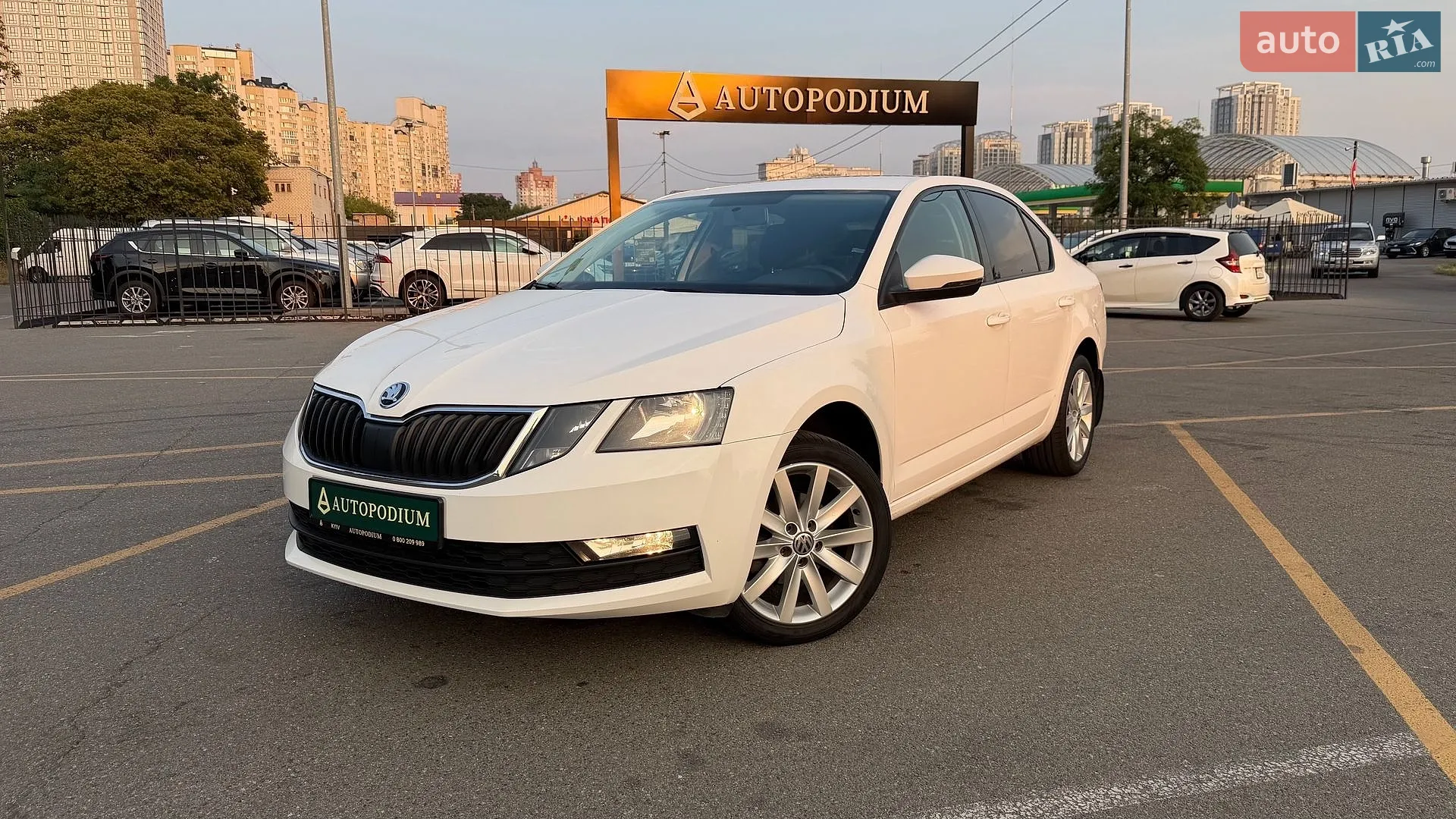 2019 Skoda Octavia - мініатюра 15