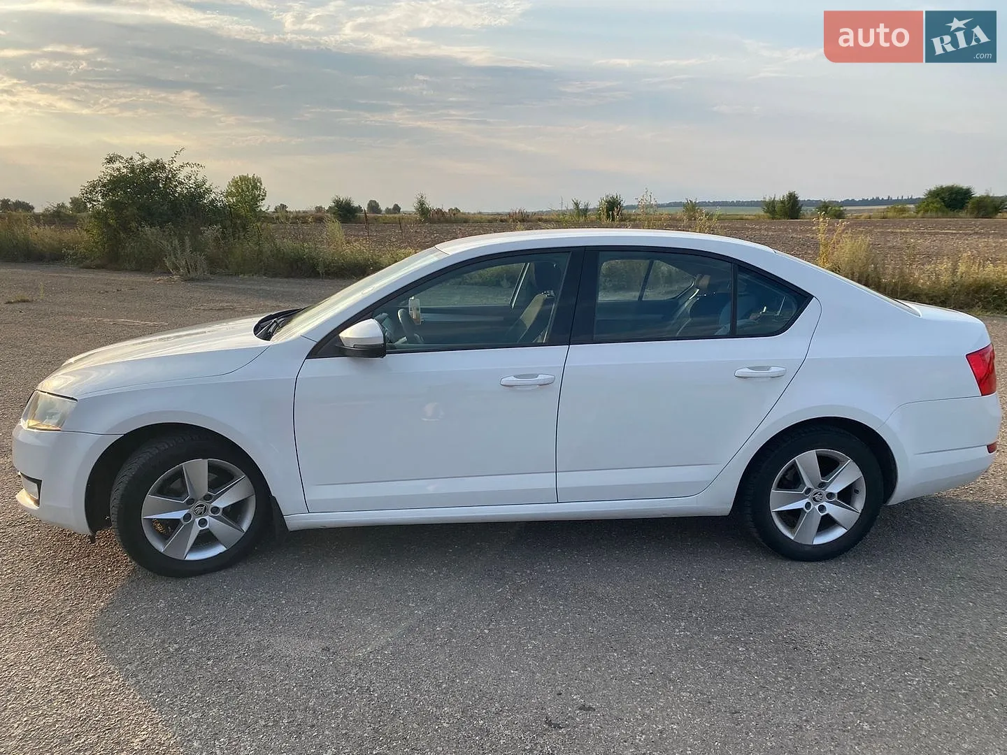2015 Skoda Octavia - мініатюра 2