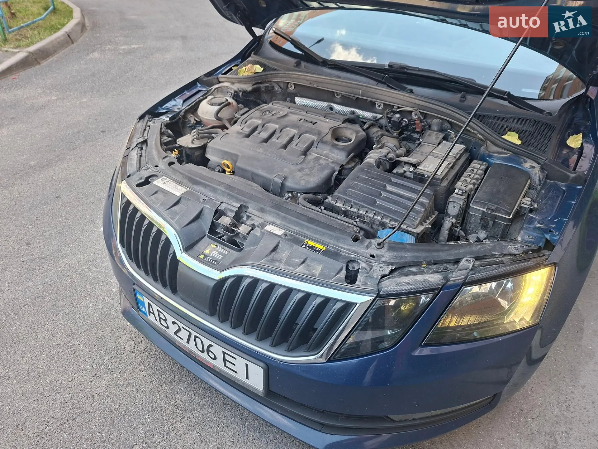 2017 Skoda Octavia - мініатюра 3
