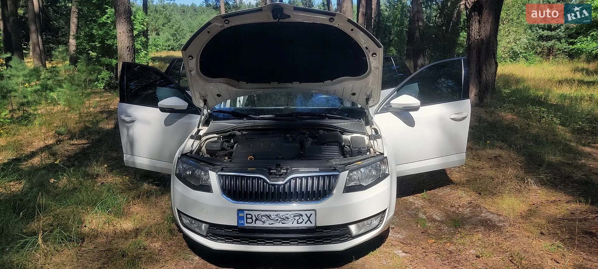 2015 Skoda Octavia - мініатюра 8
