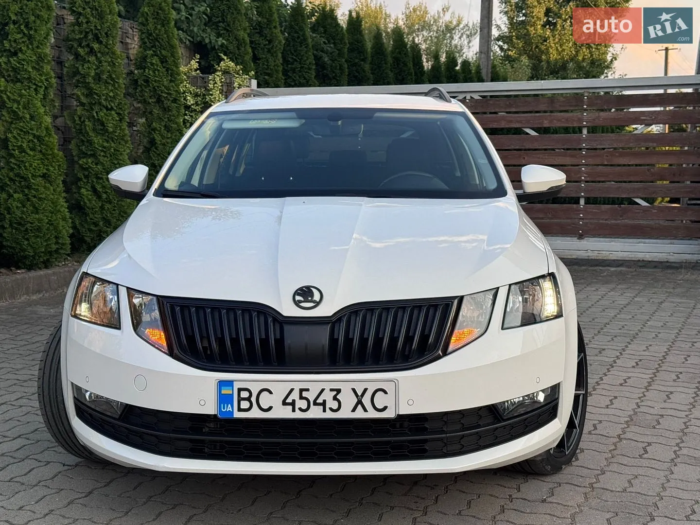 2018 Skoda Octavia - мініатюра 5