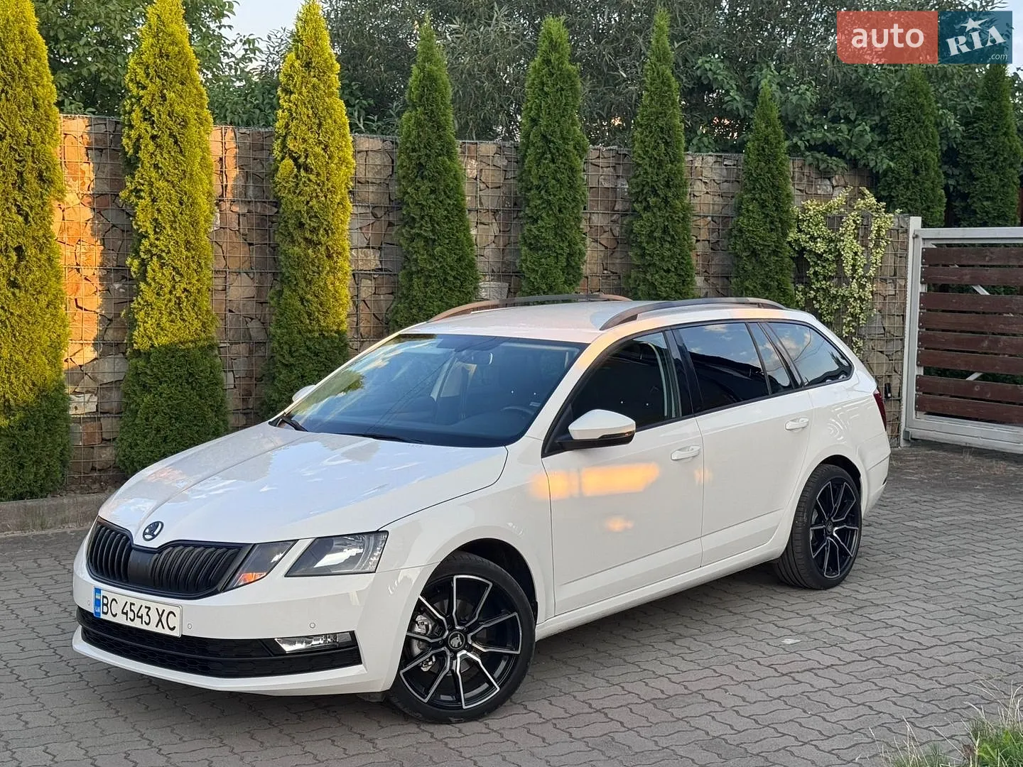 2018 Skoda Octavia - мініатюра 6