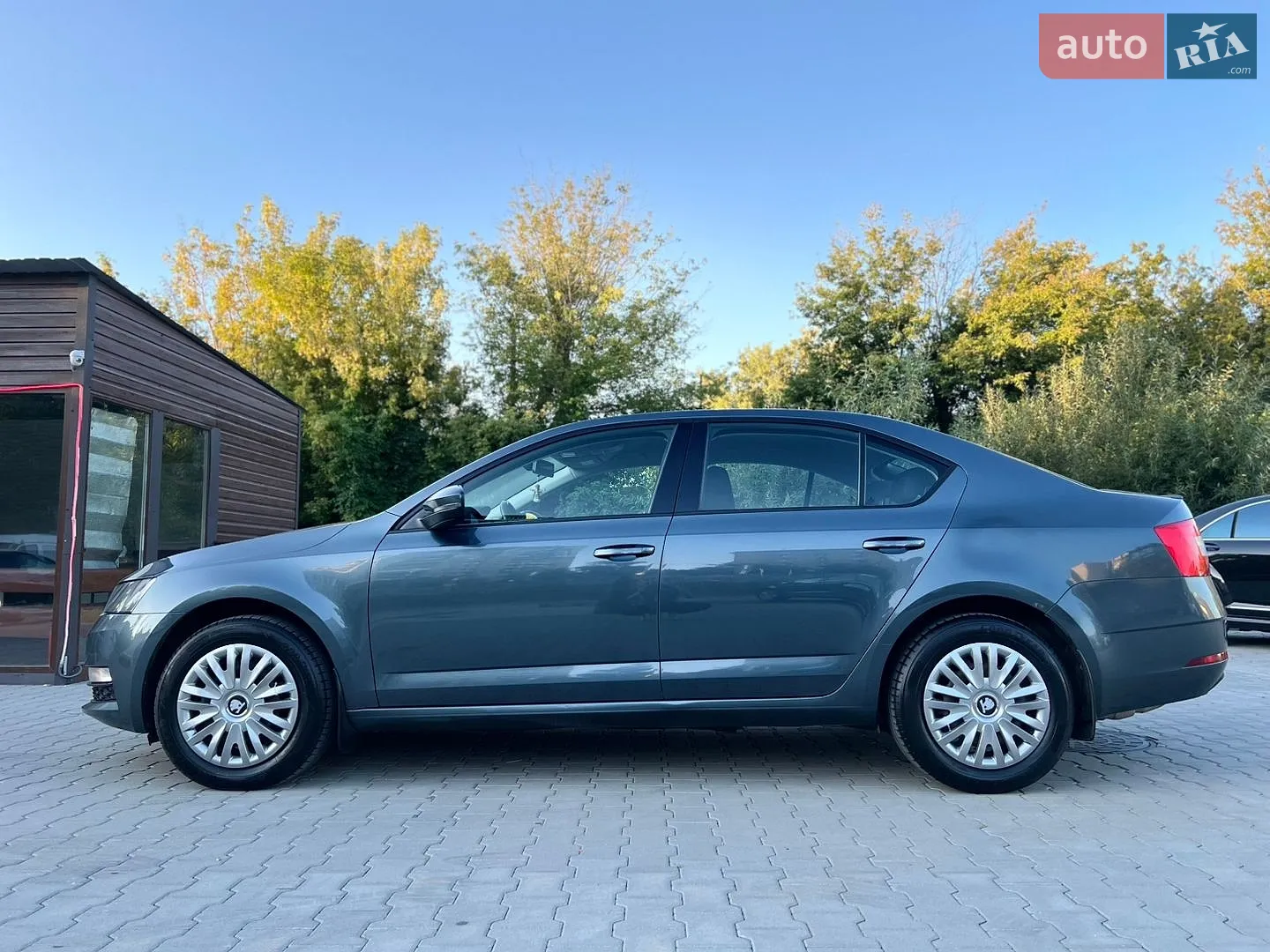 2017 Skoda Octavia - мініатюра 22