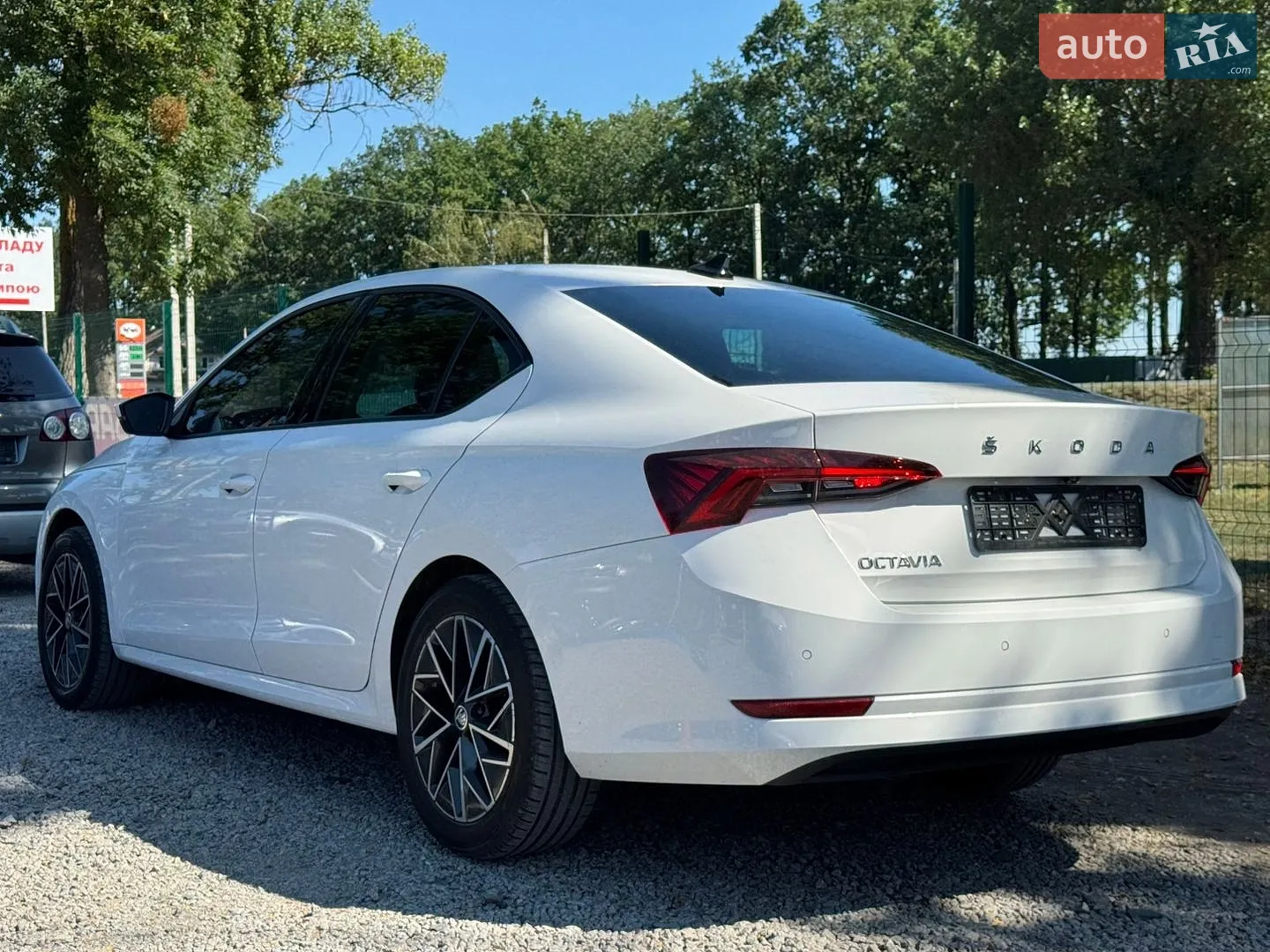 2020 Skoda Octavia - мініатюра 8