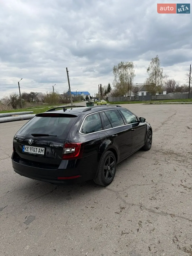 2017 Skoda Octavia - мініатюра 3