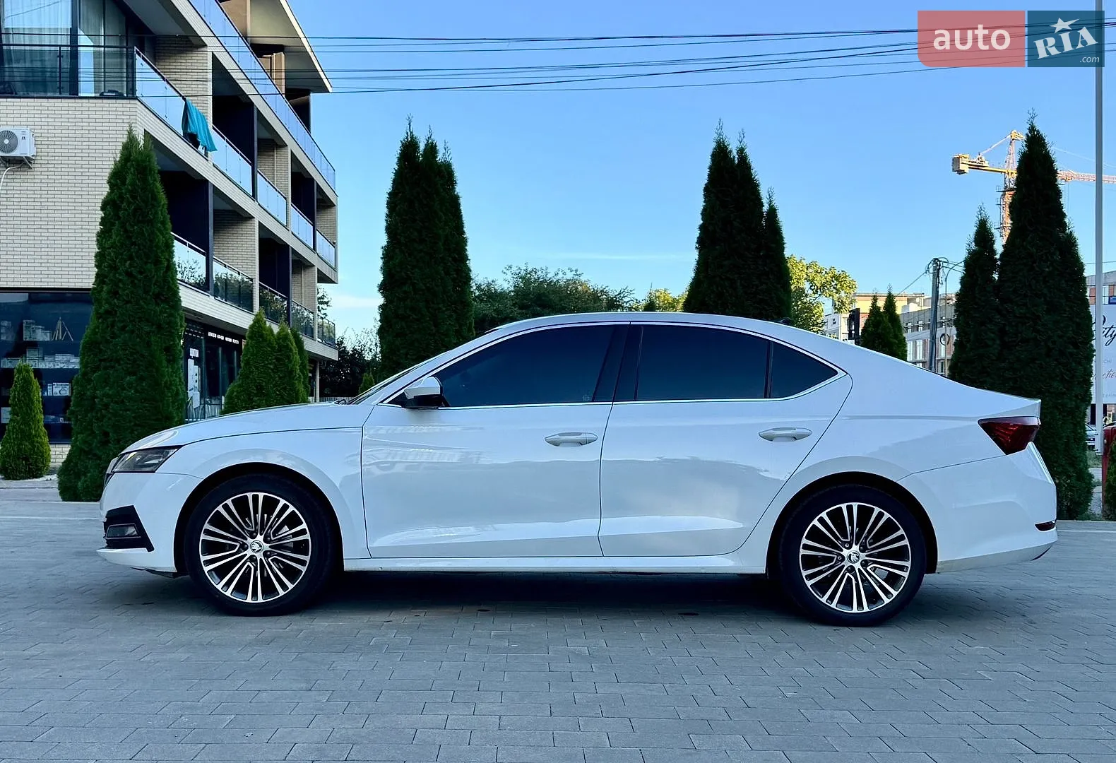 2020 Skoda Octavia - мініатюра 4