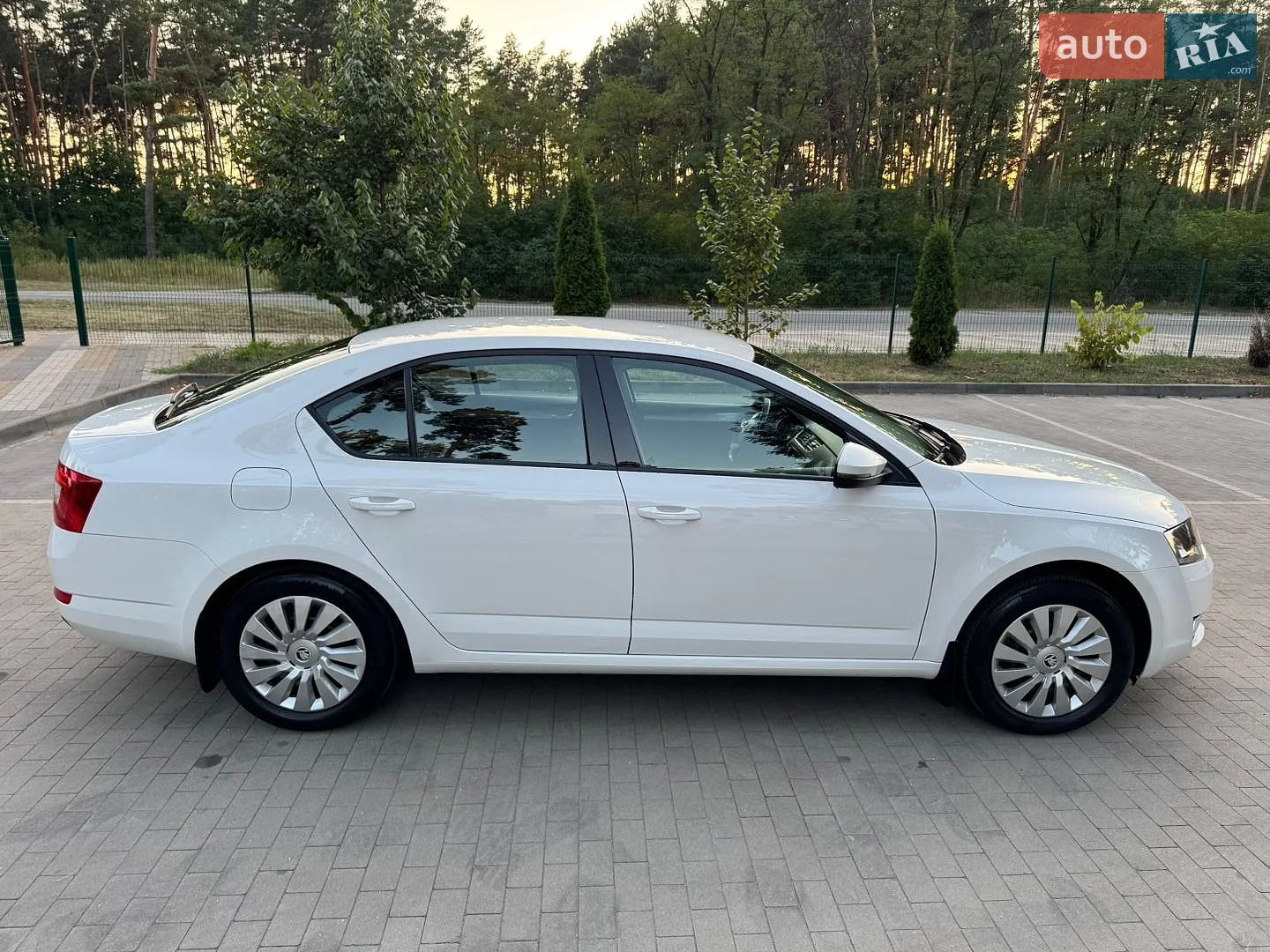 2014 Skoda Octavia - мініатюра 12