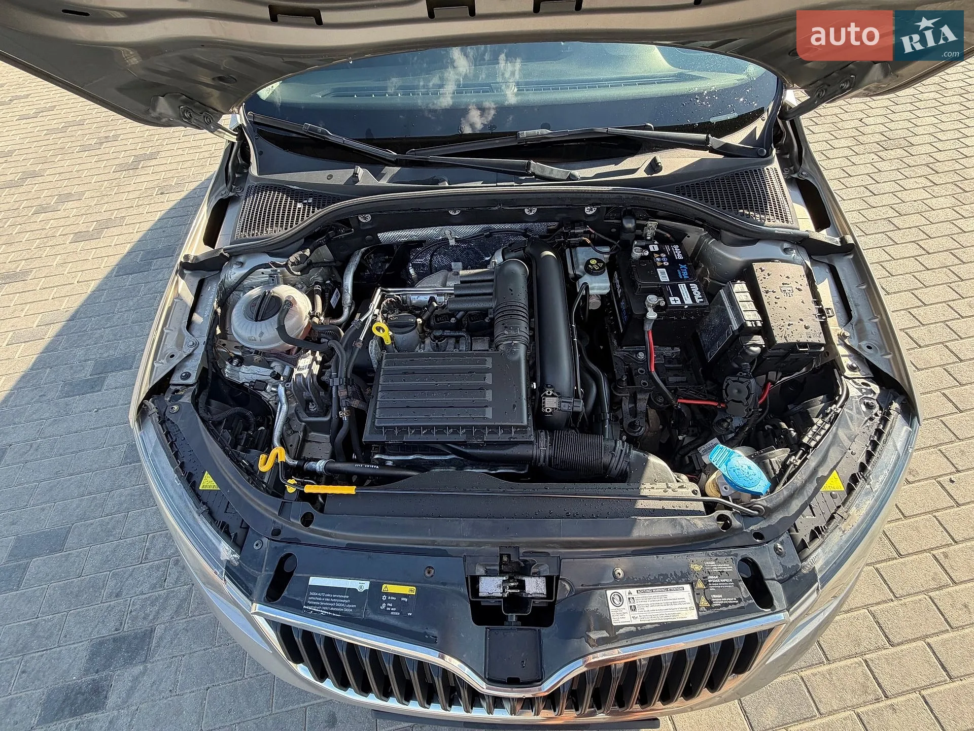 2014 Skoda Octavia - мініатюра 13