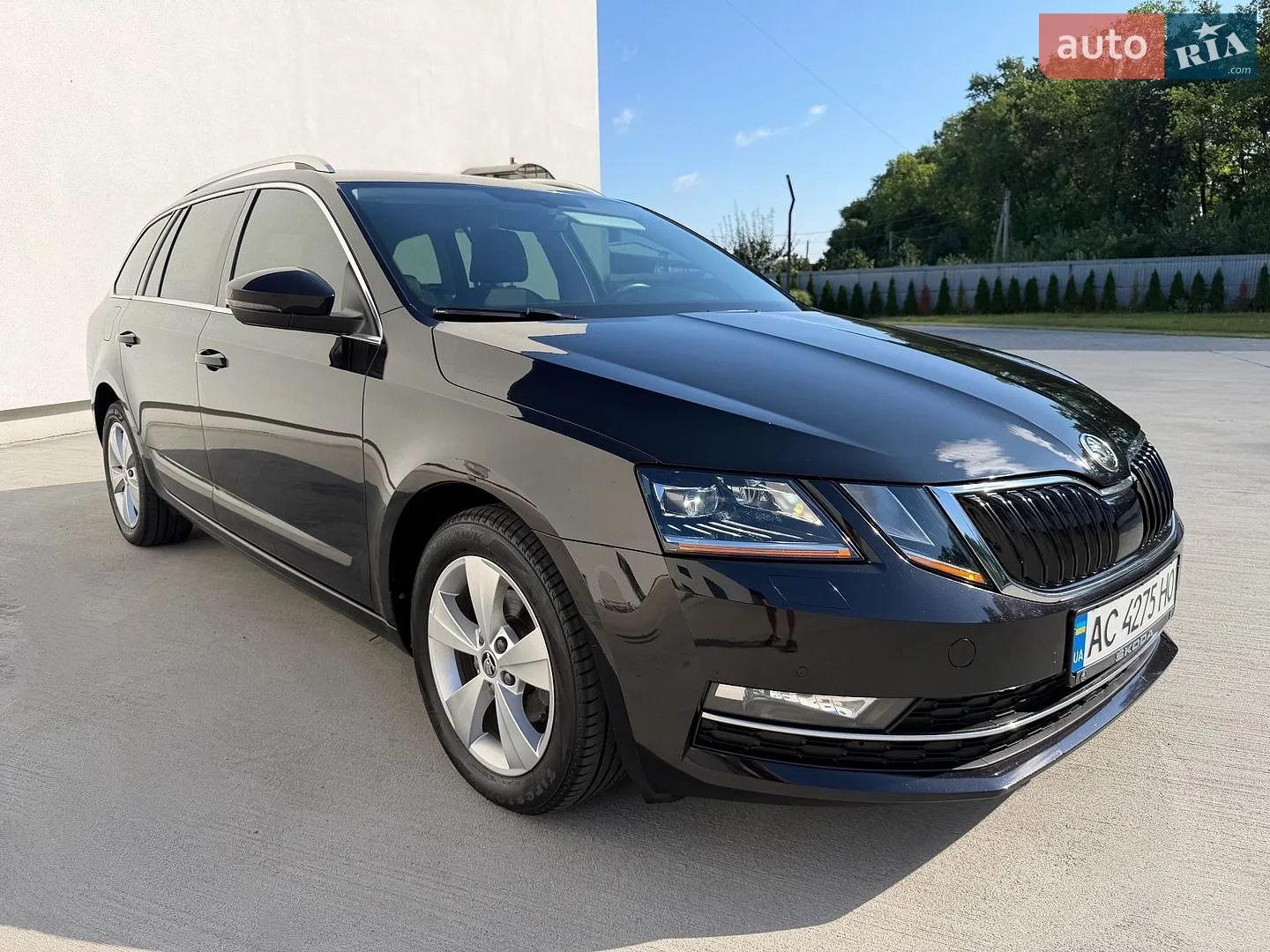 2019 Skoda Octavia - мініатюра 4