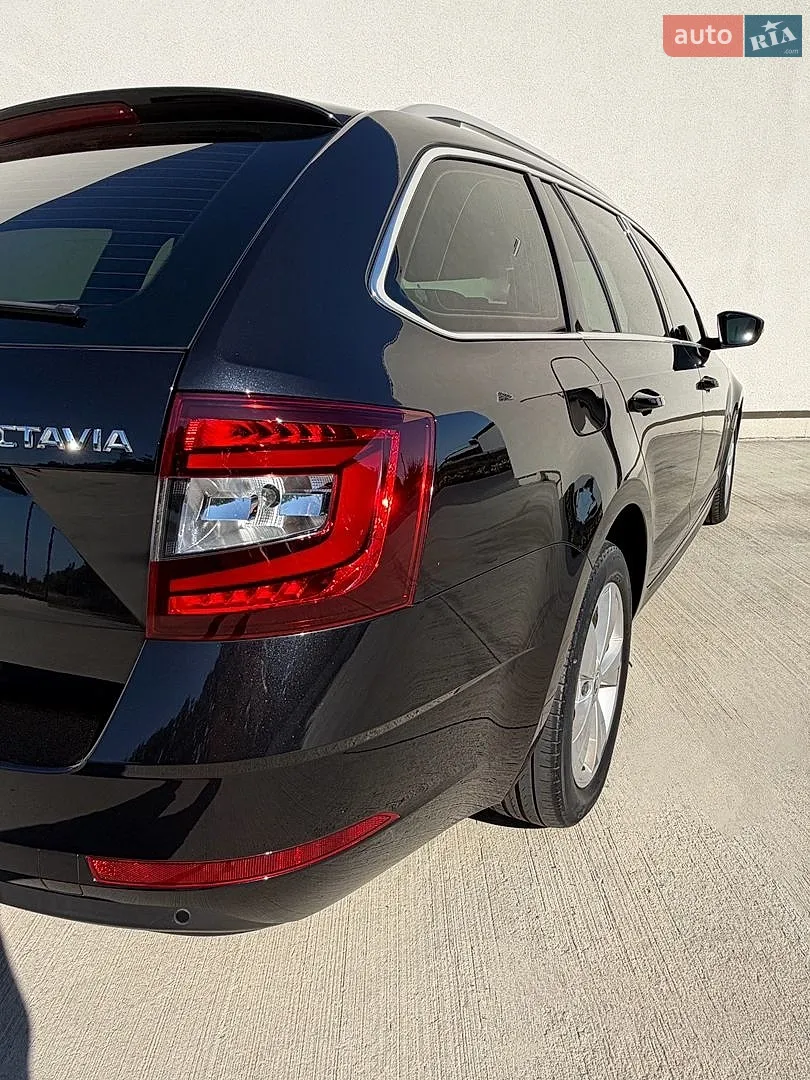 2019 Skoda Octavia - мініатюра 15