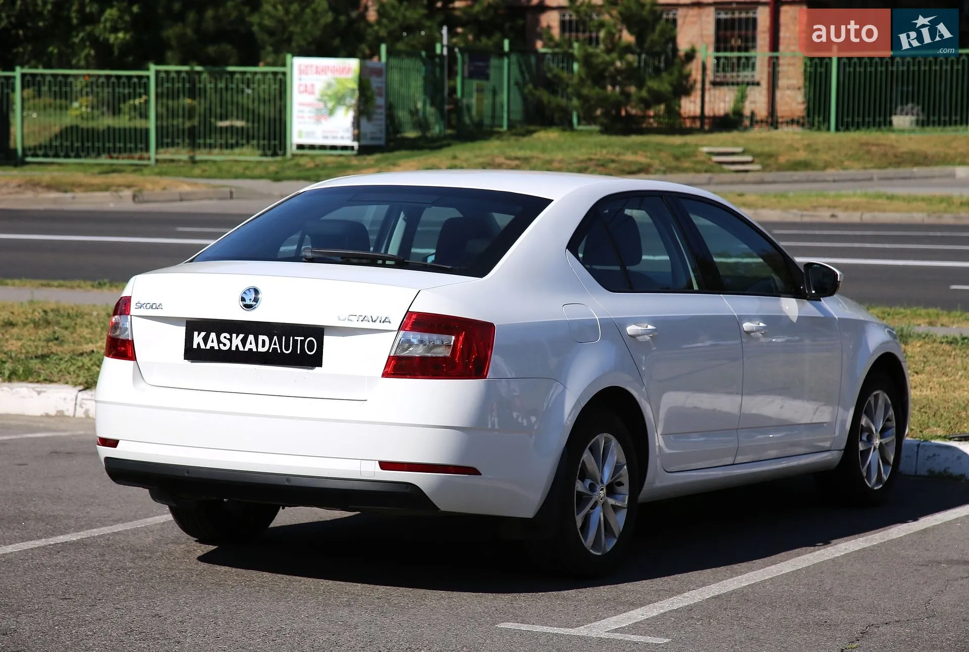 2019 Skoda Octavia - мініатюра 6
