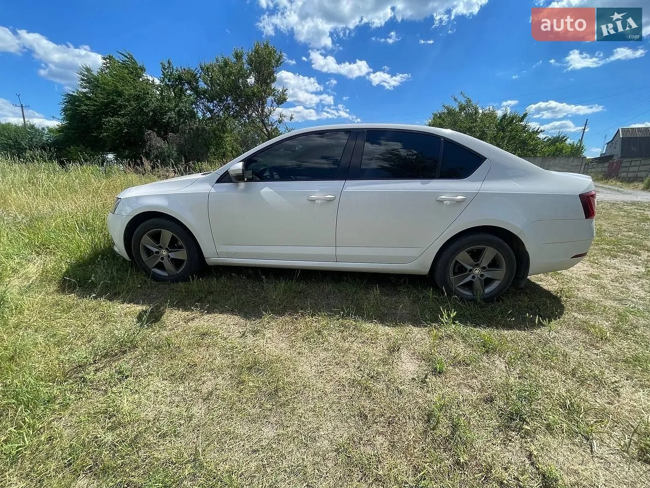2017 Skoda Octavia - мініатюра 30