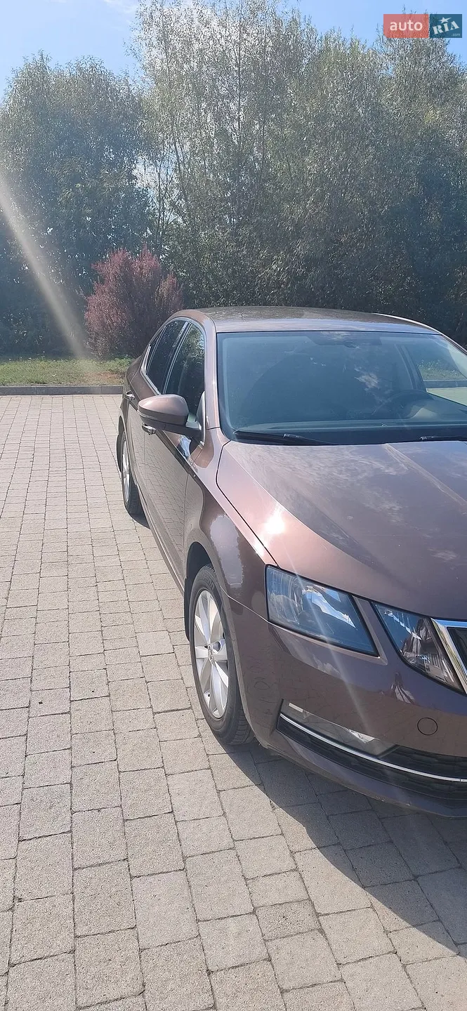 2017 Skoda Octavia - мініатюра 3