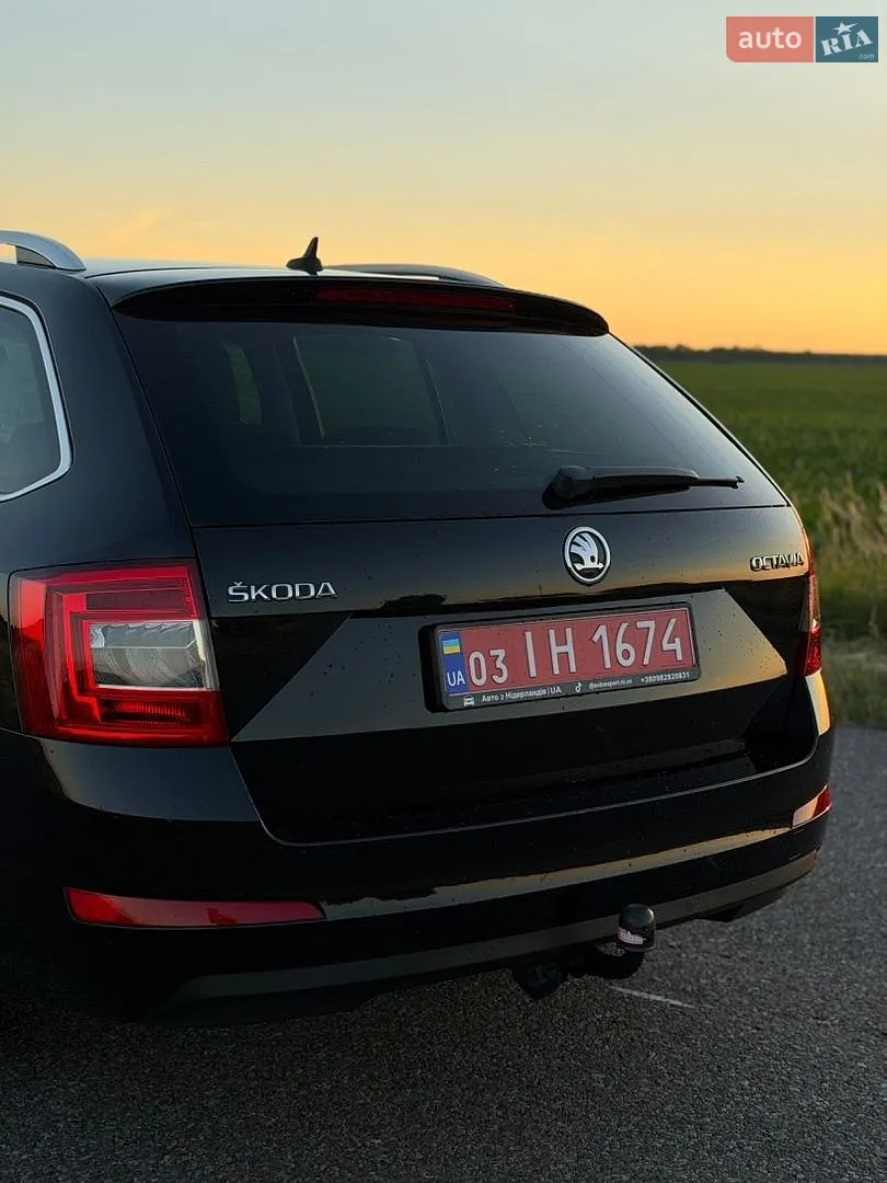 2016 Skoda Octavia - мініатюра 10
