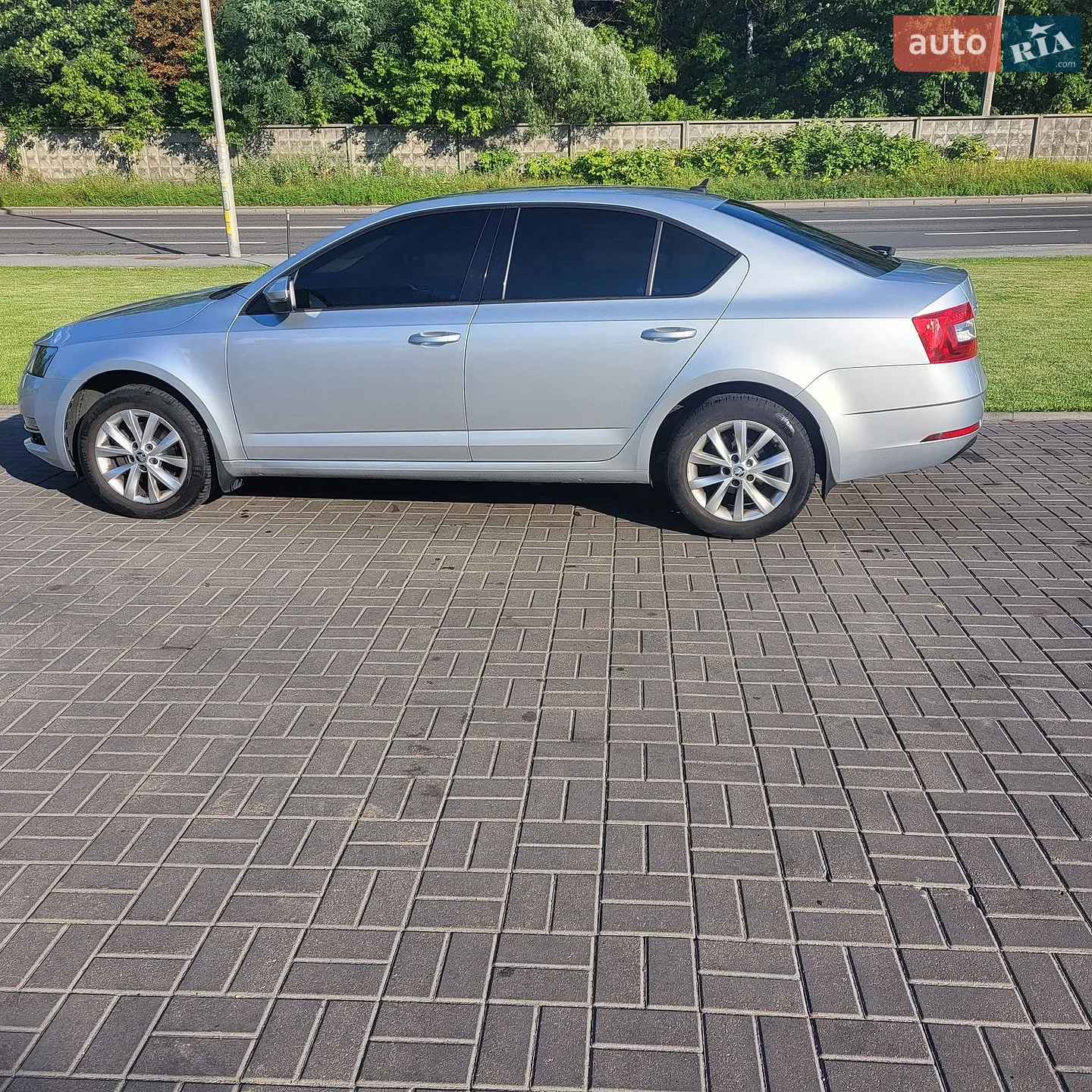 2019 Skoda Octavia - мініатюра 14