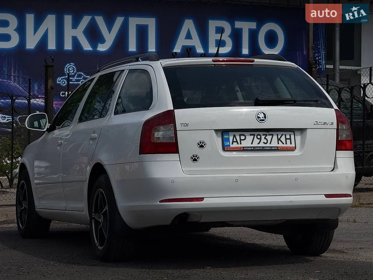 2011 Skoda Octavia - мініатюра 4