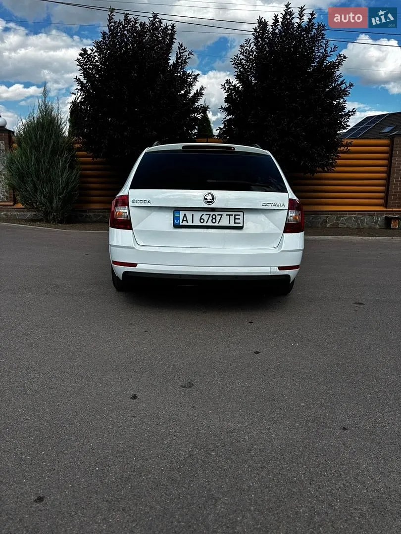 2017 Skoda Octavia - мініатюра 4