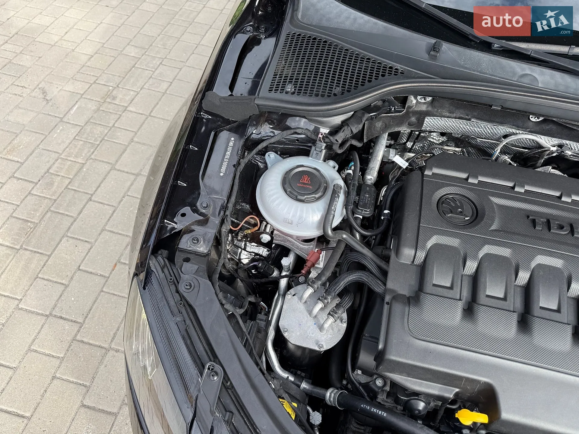 2020 Skoda Octavia - мініатюра 44