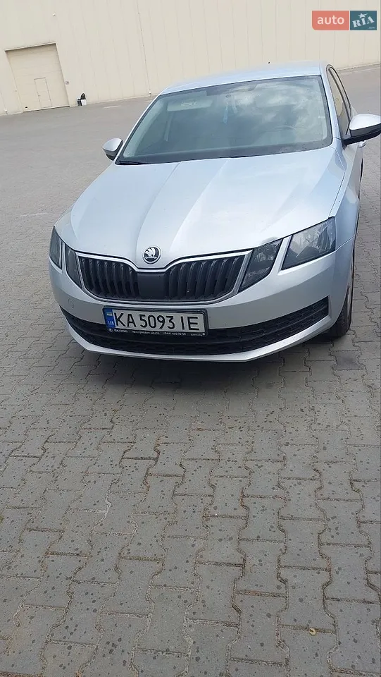 2018 Skoda Octavia - мініатюра 8