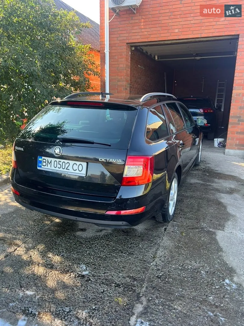 2014 Skoda Octavia - мініатюра 6