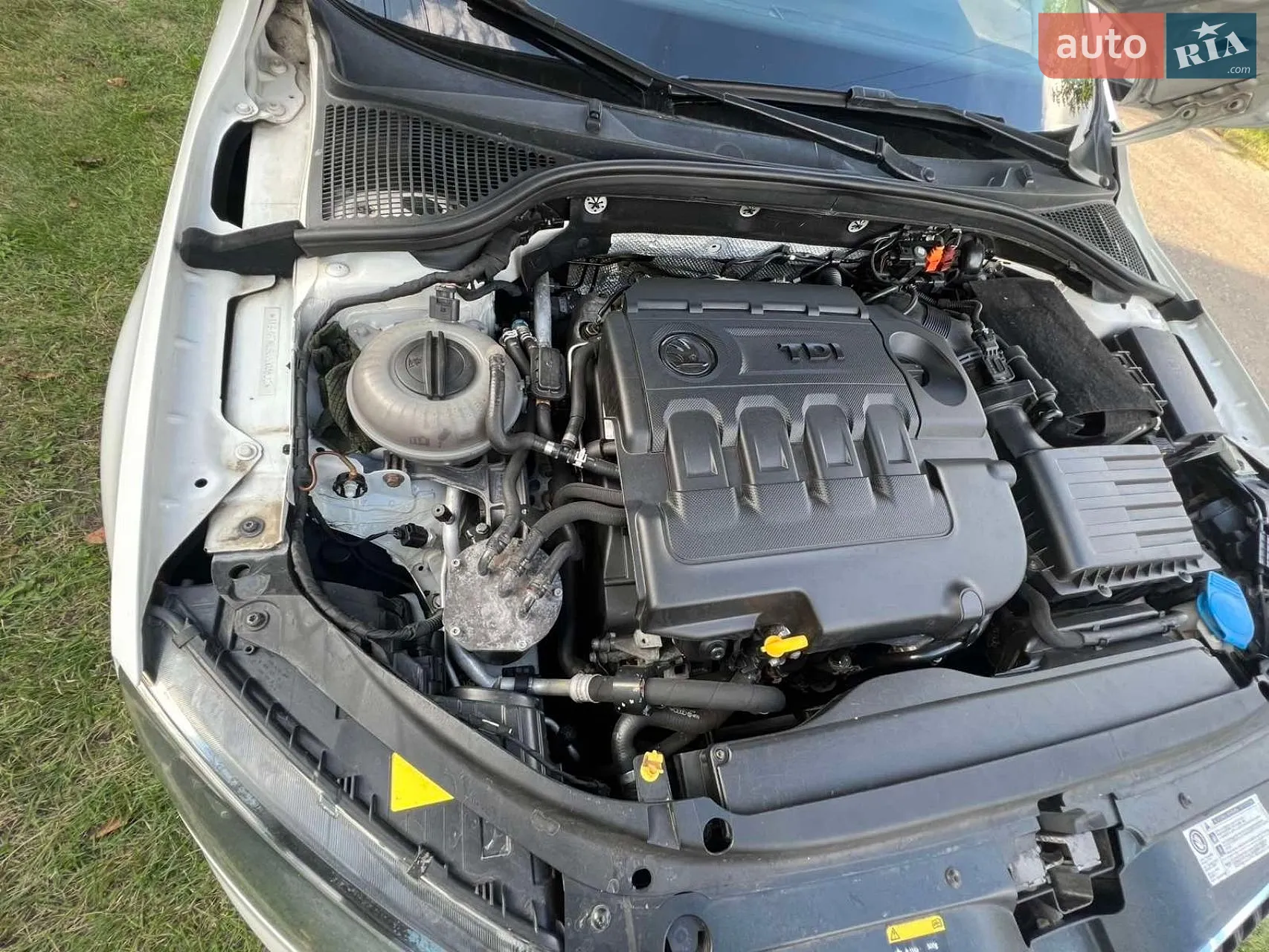 2014 Skoda Octavia - мініатюра 15