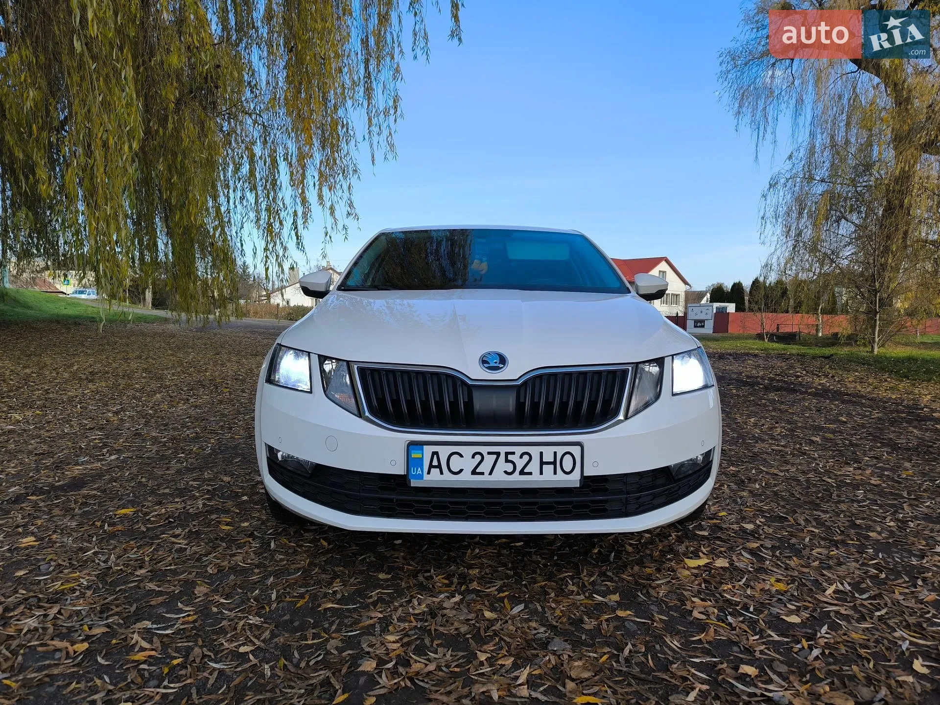 2018 Skoda Octavia - фото 1