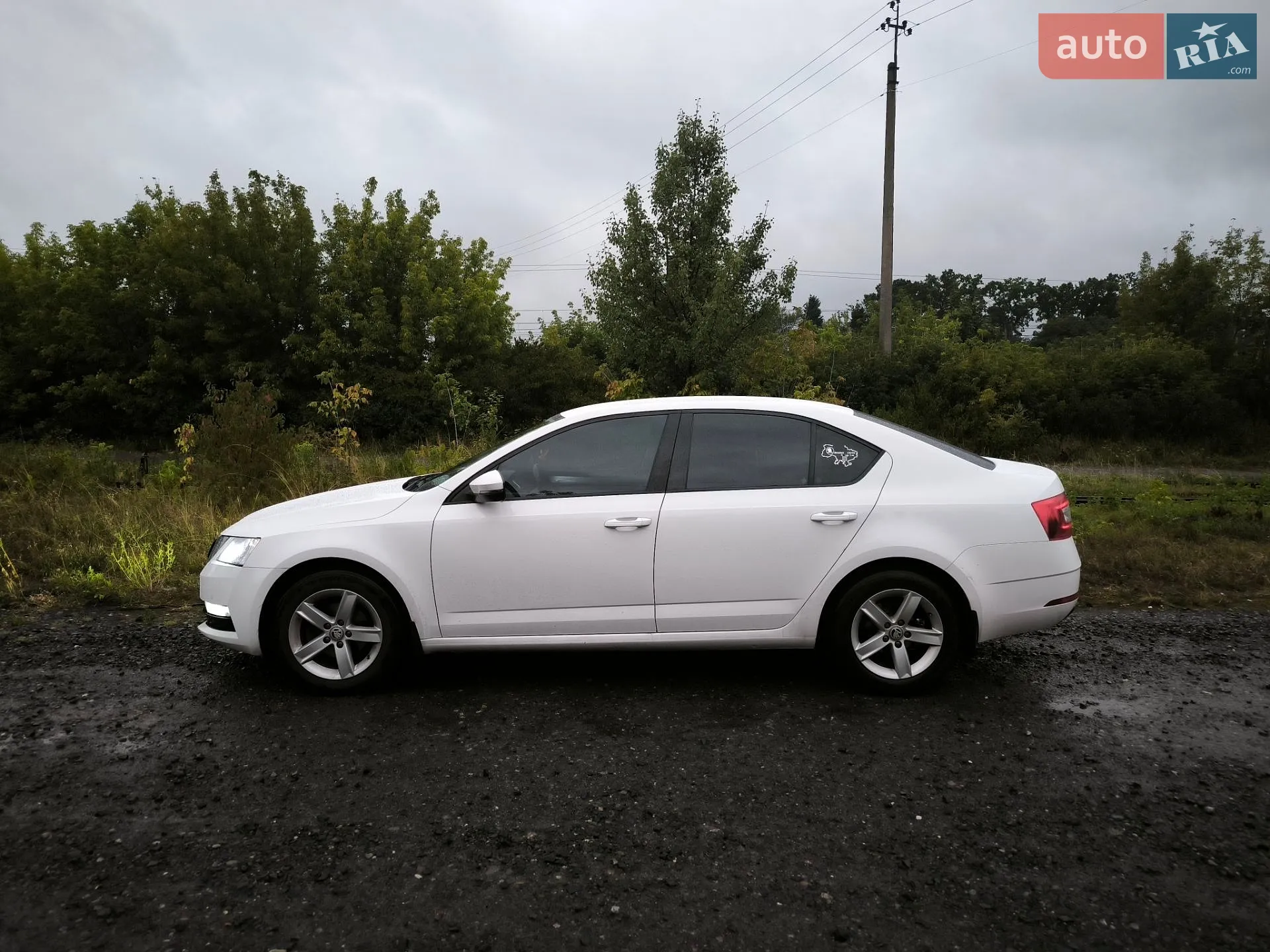 2018 Skoda Octavia - мініатюра 26
