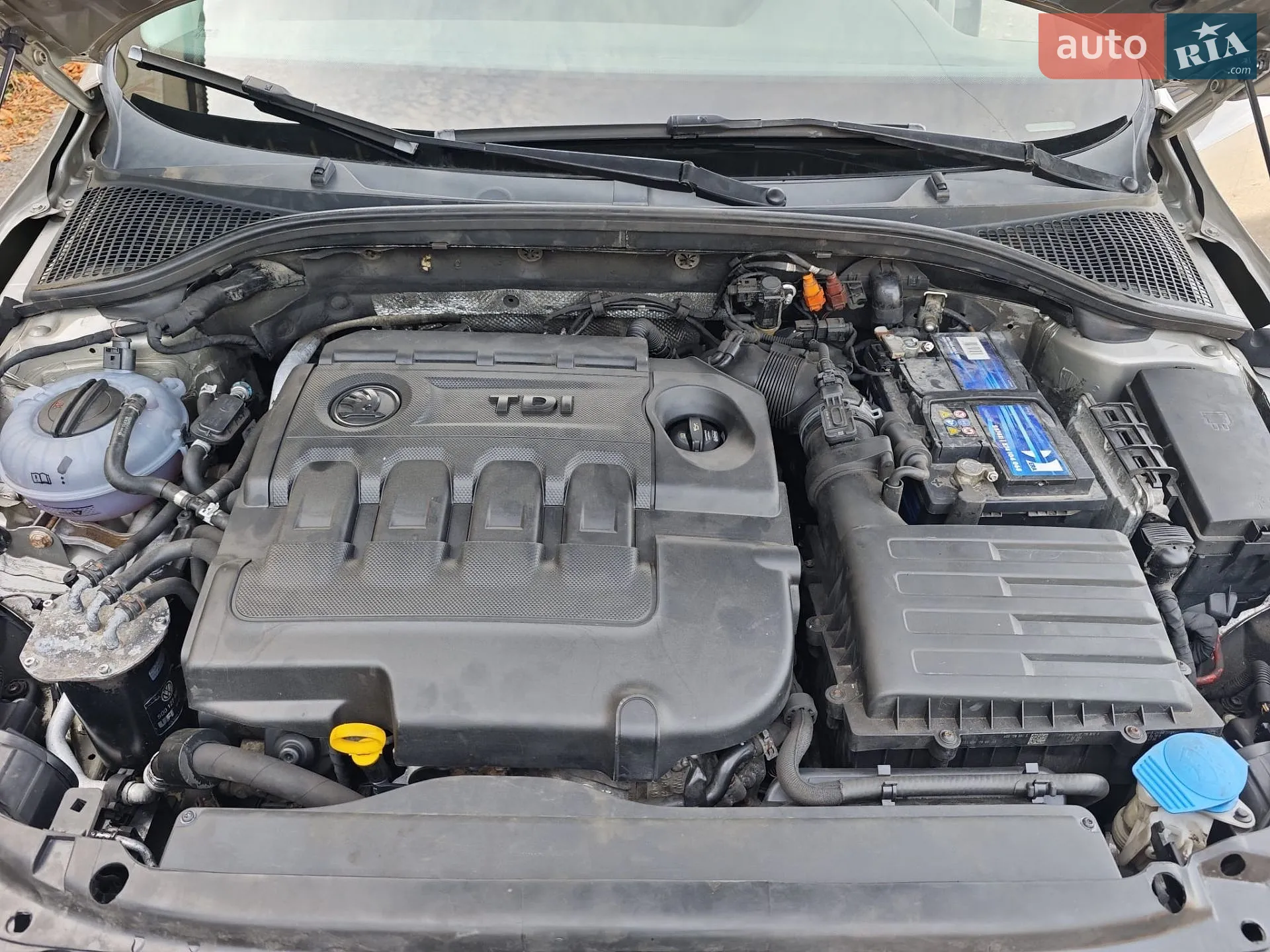 2013 Skoda Octavia - мініатюра 14