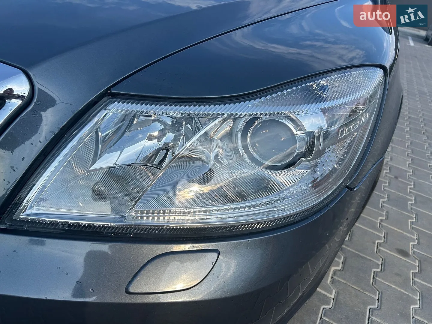 2012 Skoda Octavia - мініатюра 51