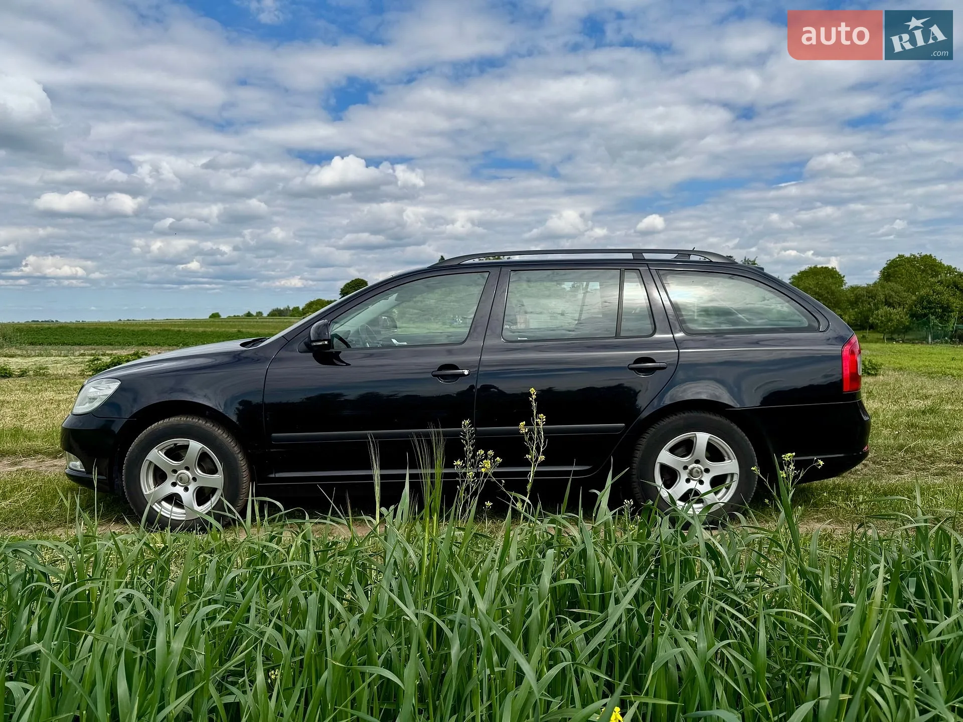 2012 Skoda Octavia - фото 1