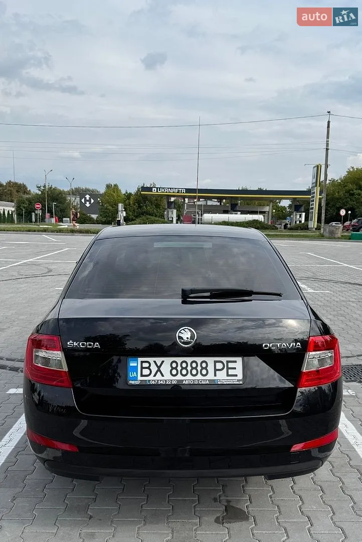 2013 Skoda Octavia - мініатюра 4