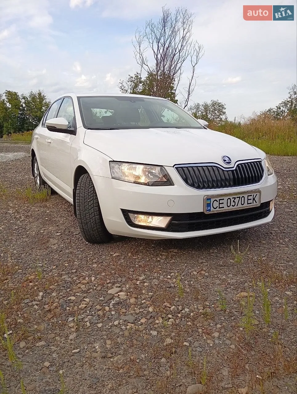 2015 Skoda Octavia - мініатюра 2