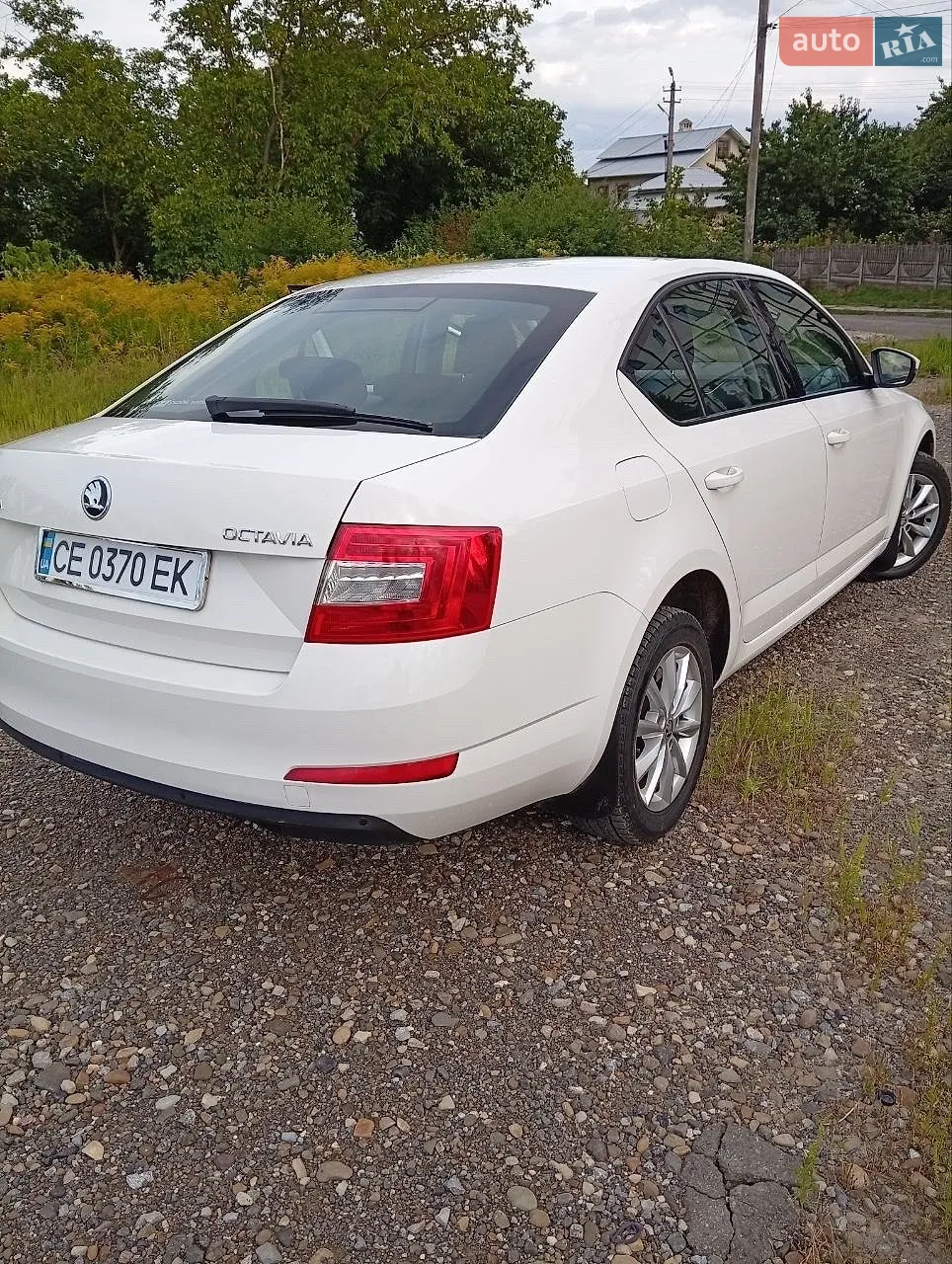 2015 Skoda Octavia - мініатюра 22