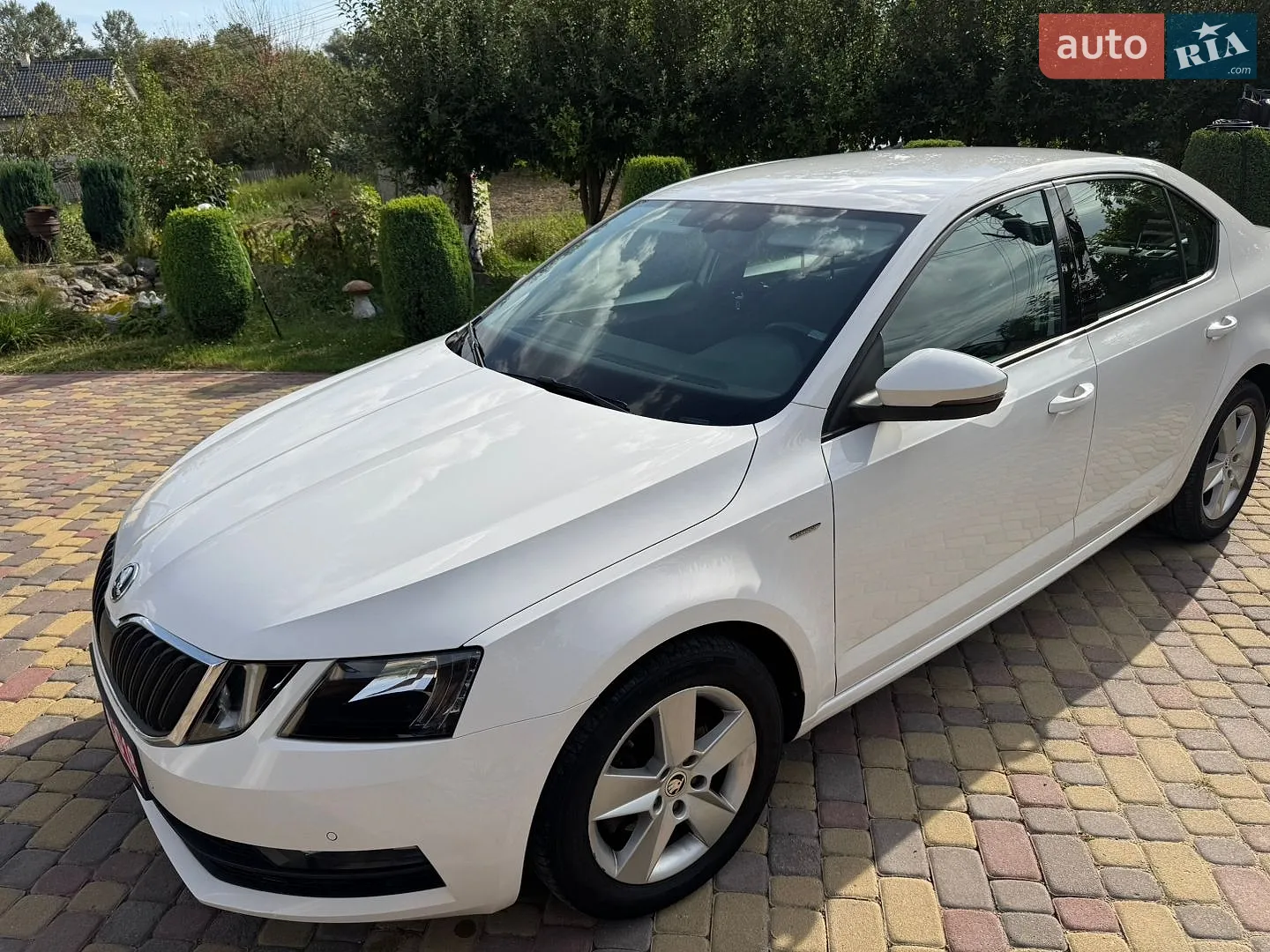 2018 Skoda Octavia - мініатюра 7