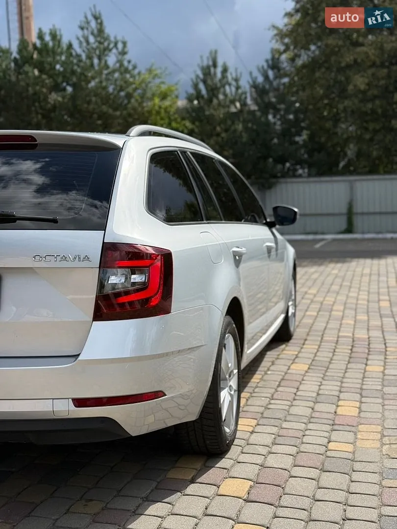 2017 Skoda Octavia - мініатюра 14