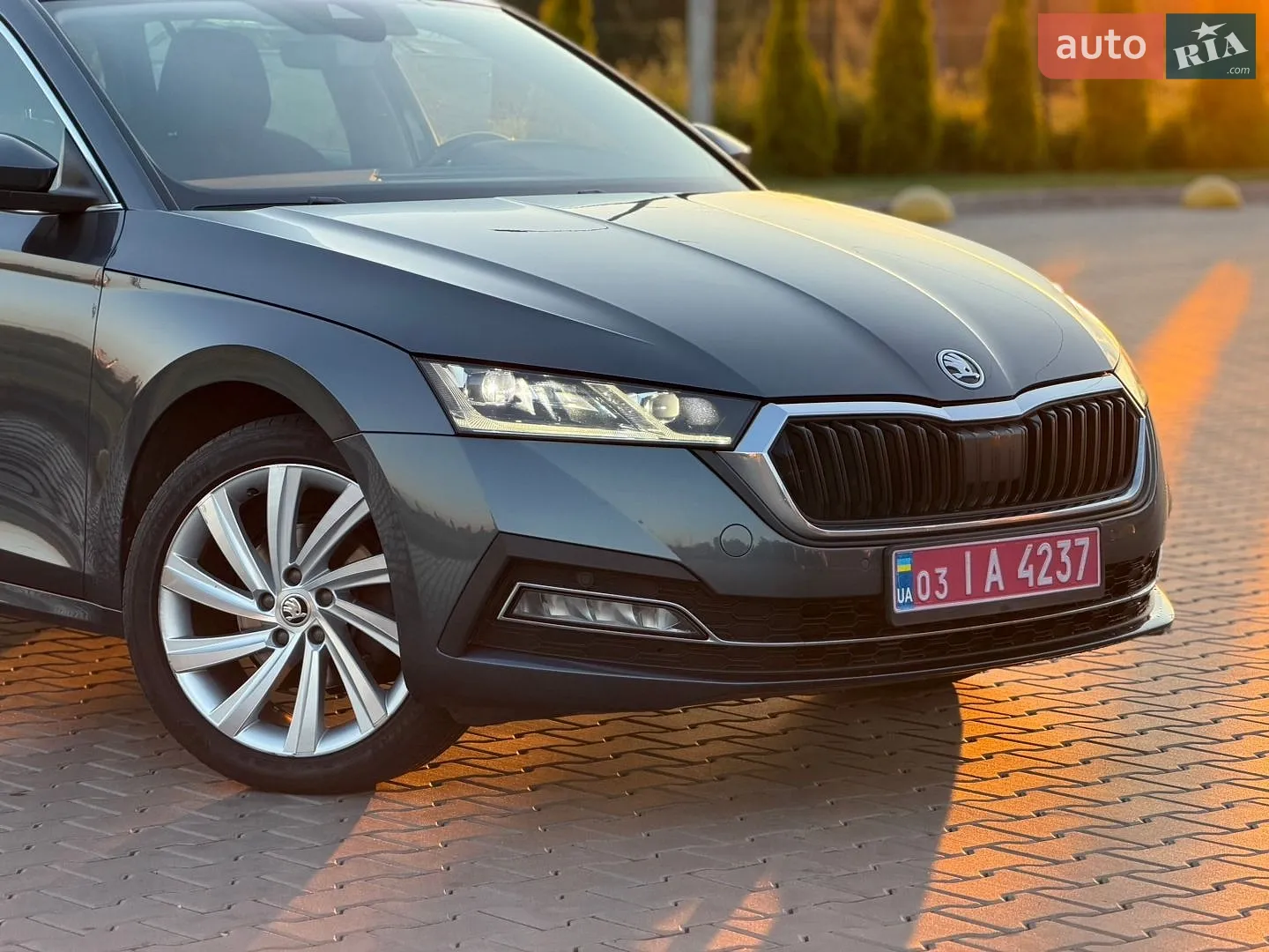 2021 Skoda Octavia - мініатюра 9