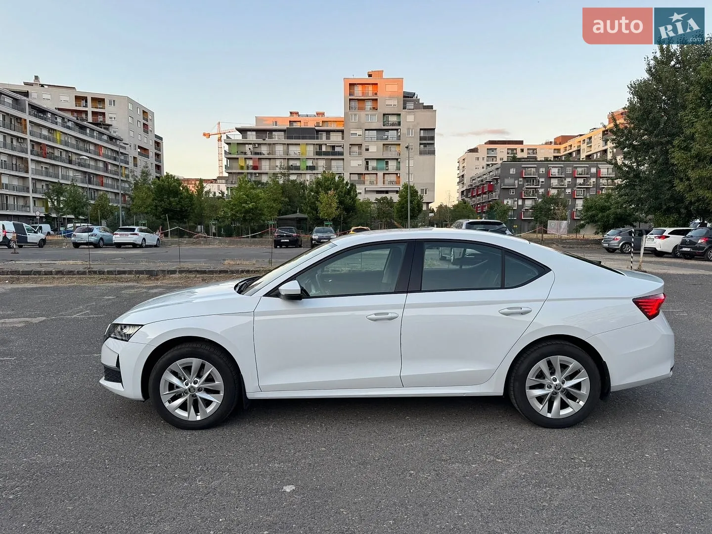 2024 Skoda Octavia - мініатюра 4