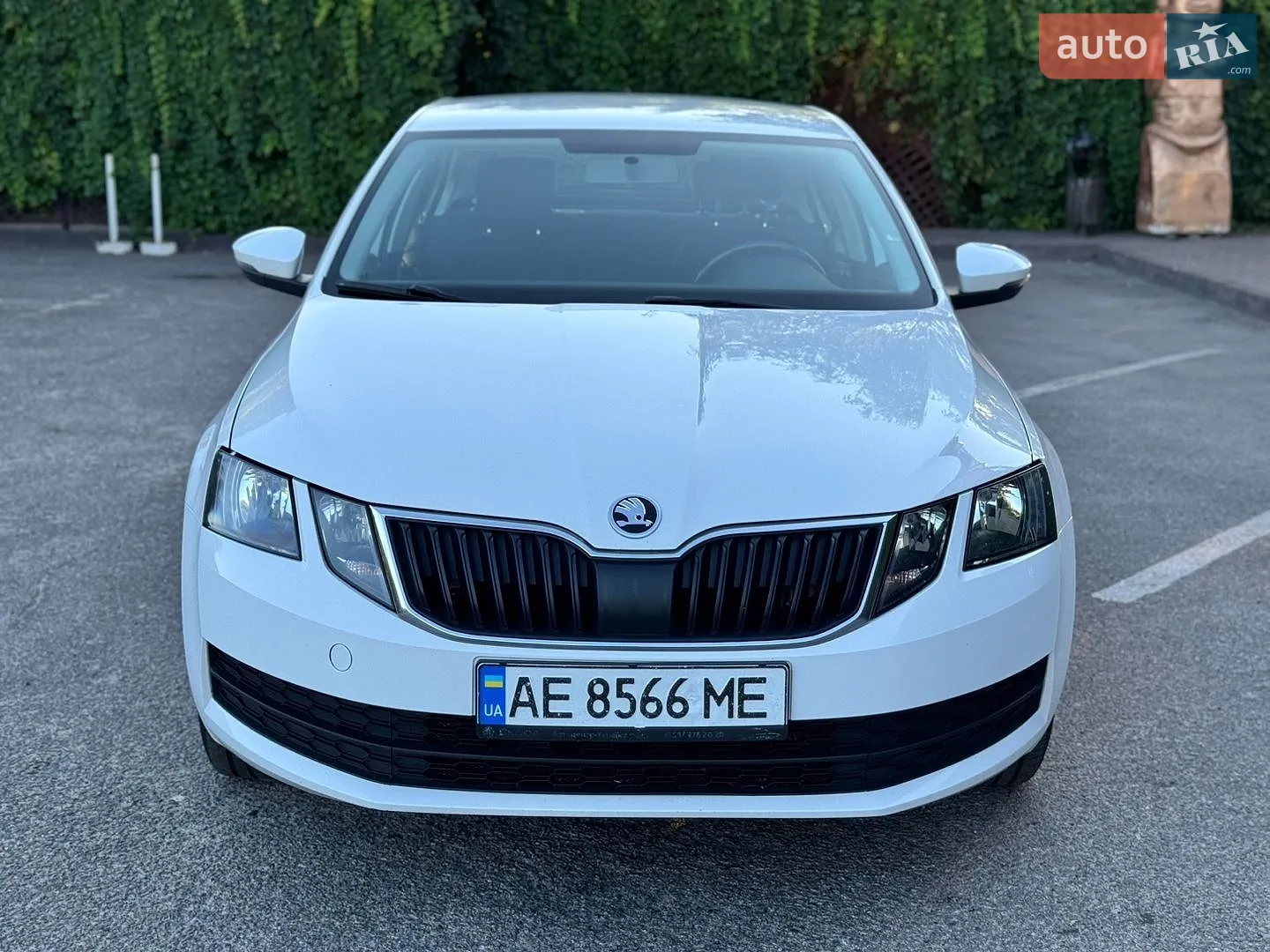 2019 Skoda Octavia - мініатюра 9