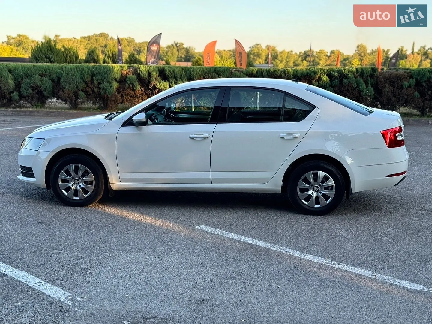 2019 Skoda Octavia - мініатюра 5