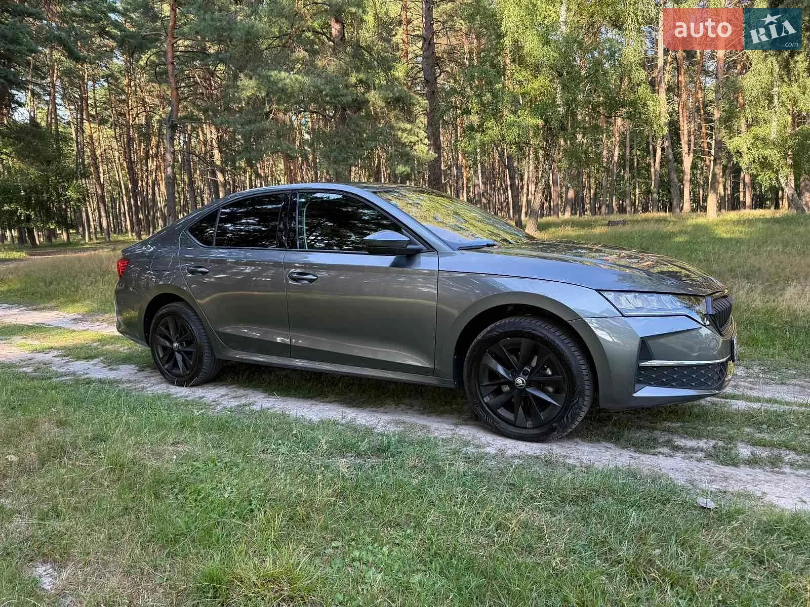 2024 Skoda Octavia - мініатюра 14