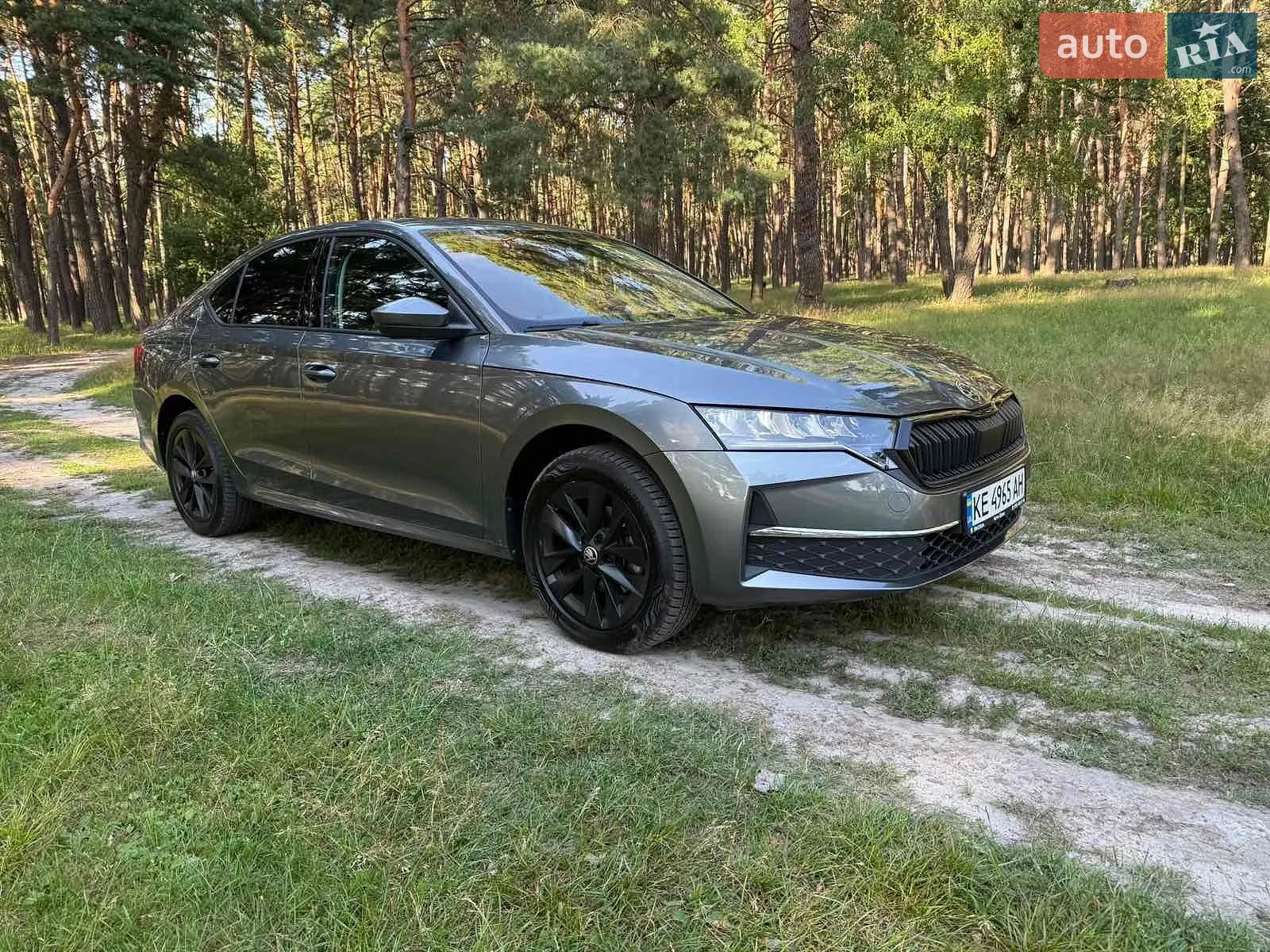 2024 Skoda Octavia - мініатюра 15
