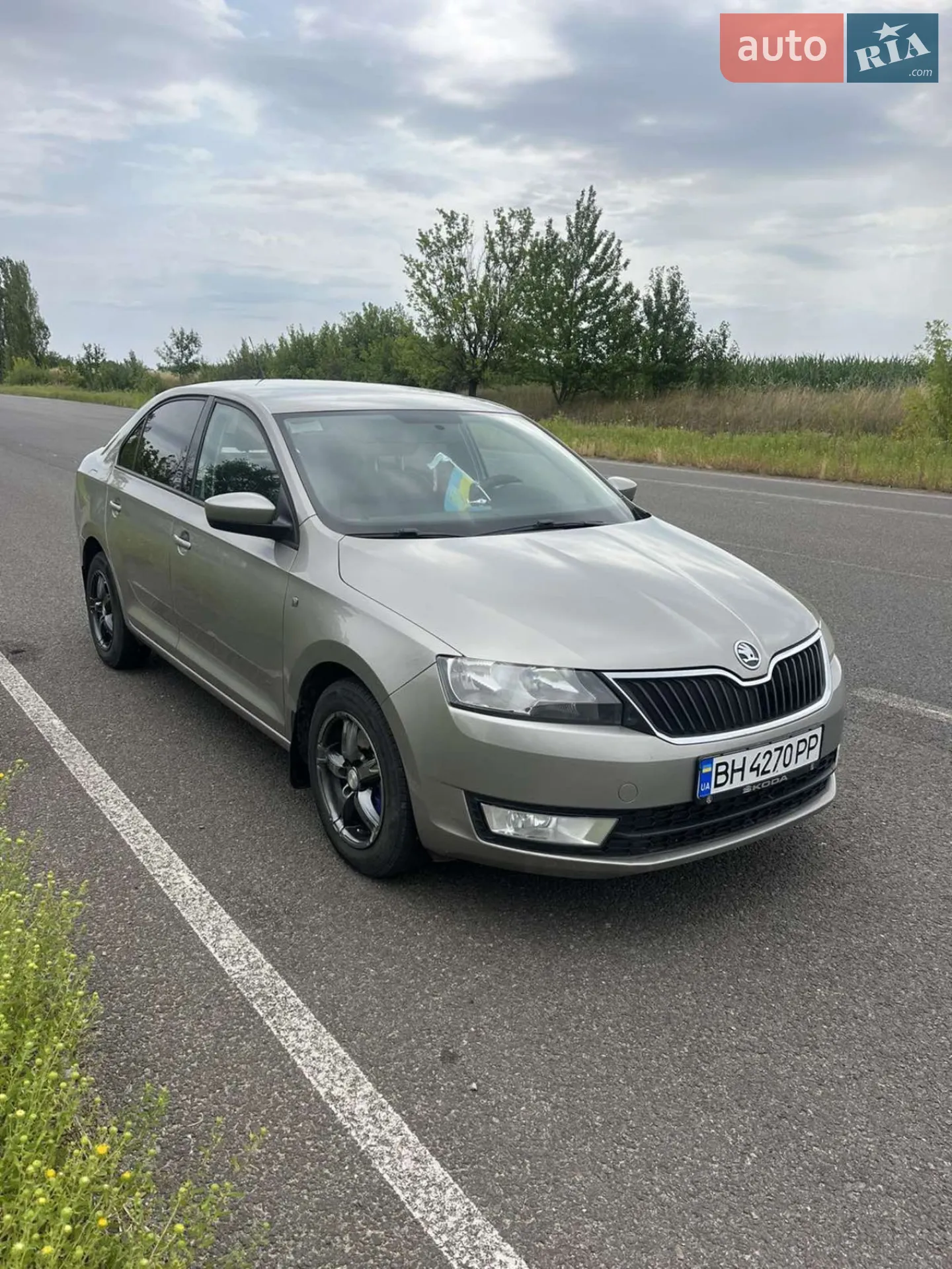 2013 Skoda Rapid - фото 1