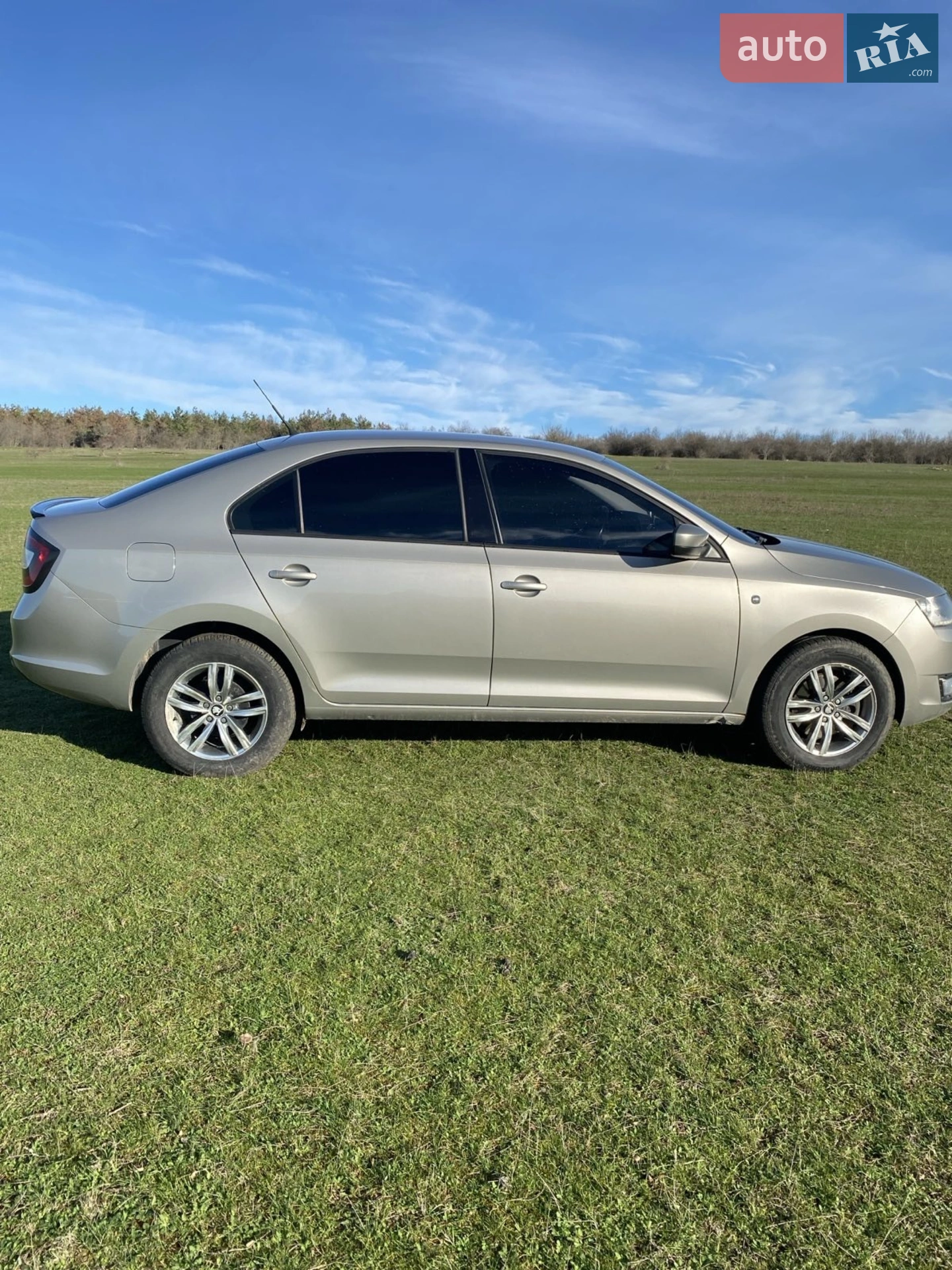 2013 Skoda Rapid - мініатюра 3