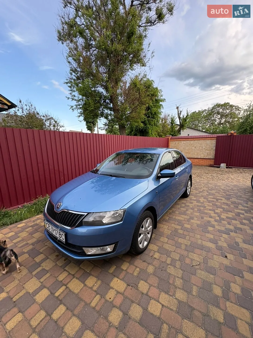 2013 Skoda Rapid - мініатюра 5