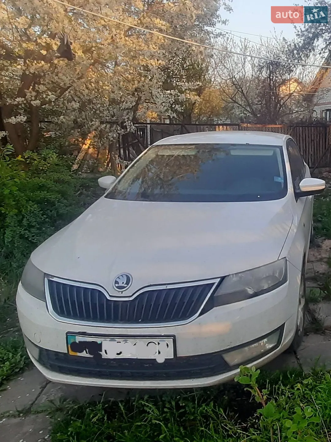 2013 Skoda Rapid - мініатюра 3