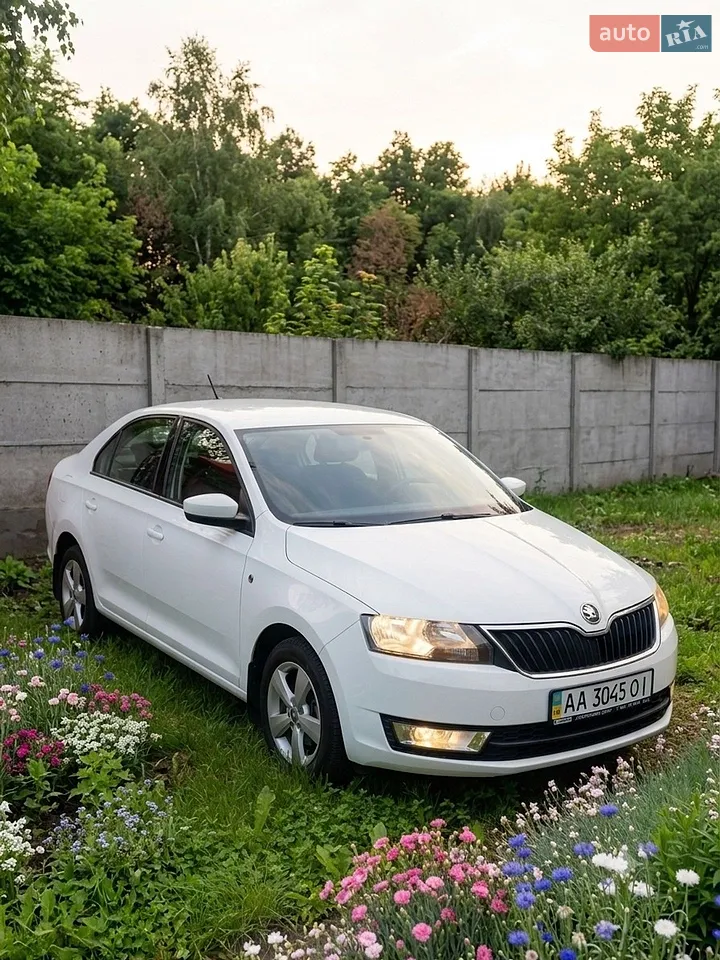 2014 Skoda Rapid - мініатюра 10
