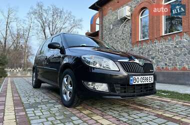 Мікровен Skoda Roomster 2013 в Ладижині